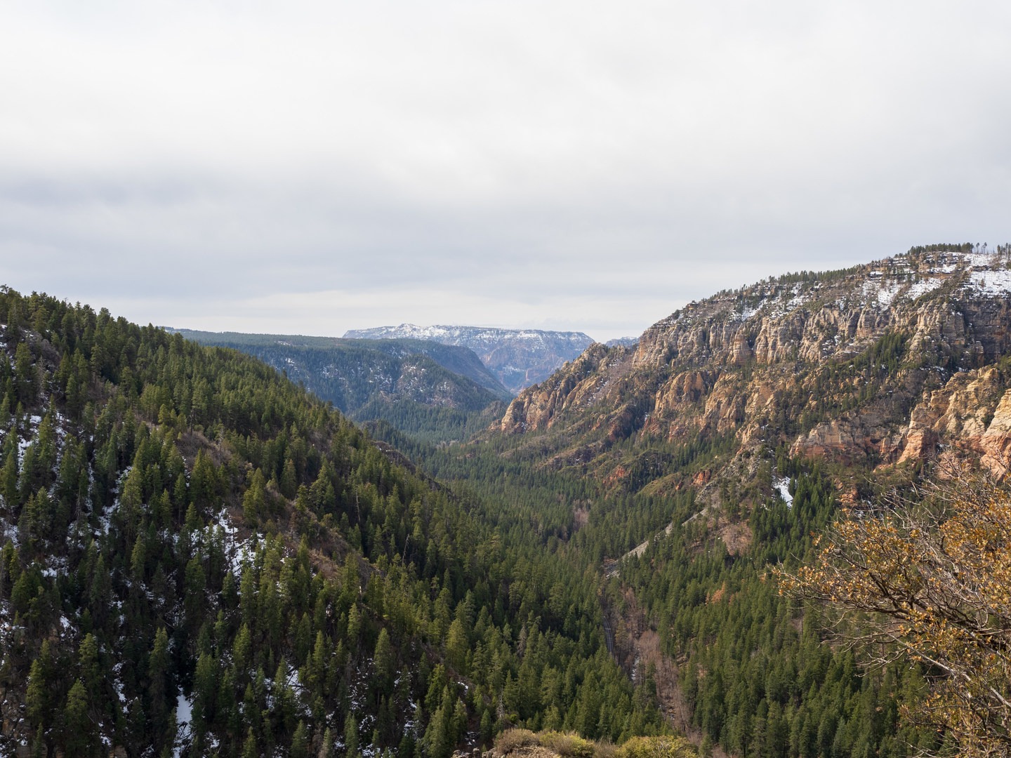 Oak Creek Canyon as seen from the vista.