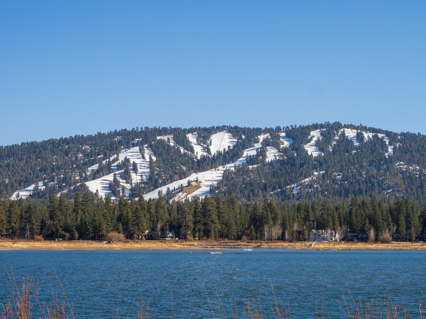 Alpine Pedal Path Outdoor Project