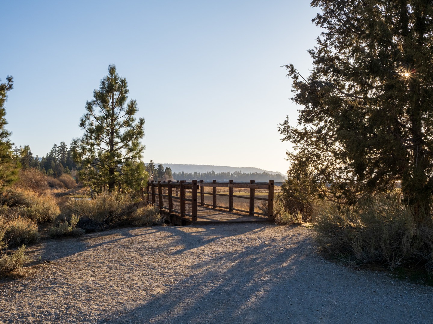 Stanfield Marsh Boardwalk.