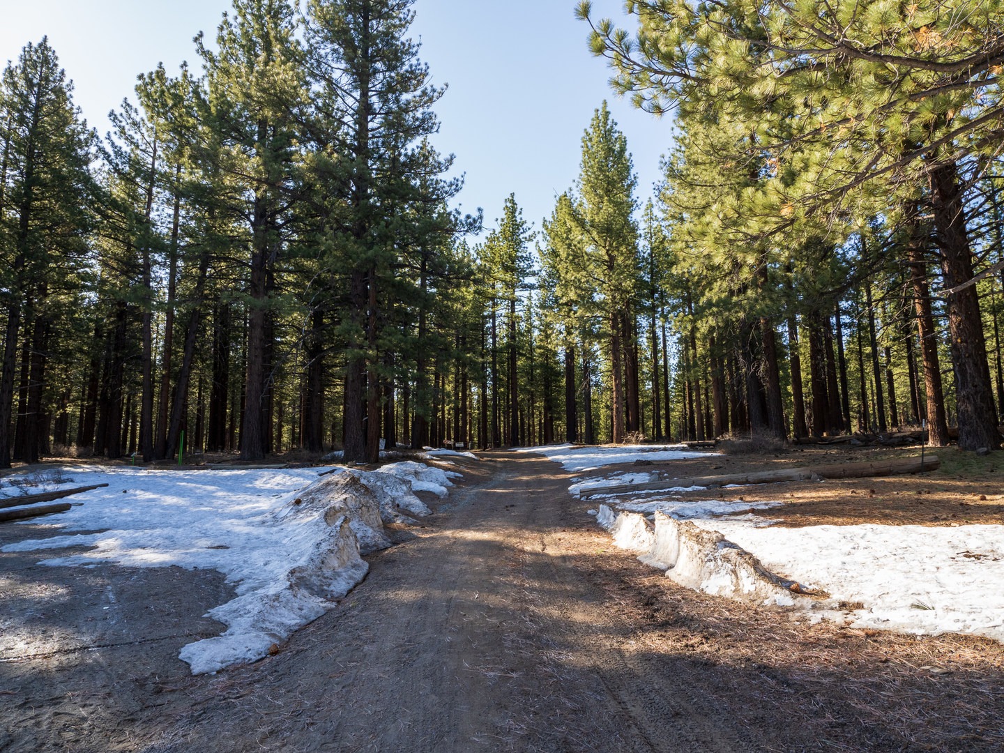 Many forest roads take off from the park and are perfect for further exploration.