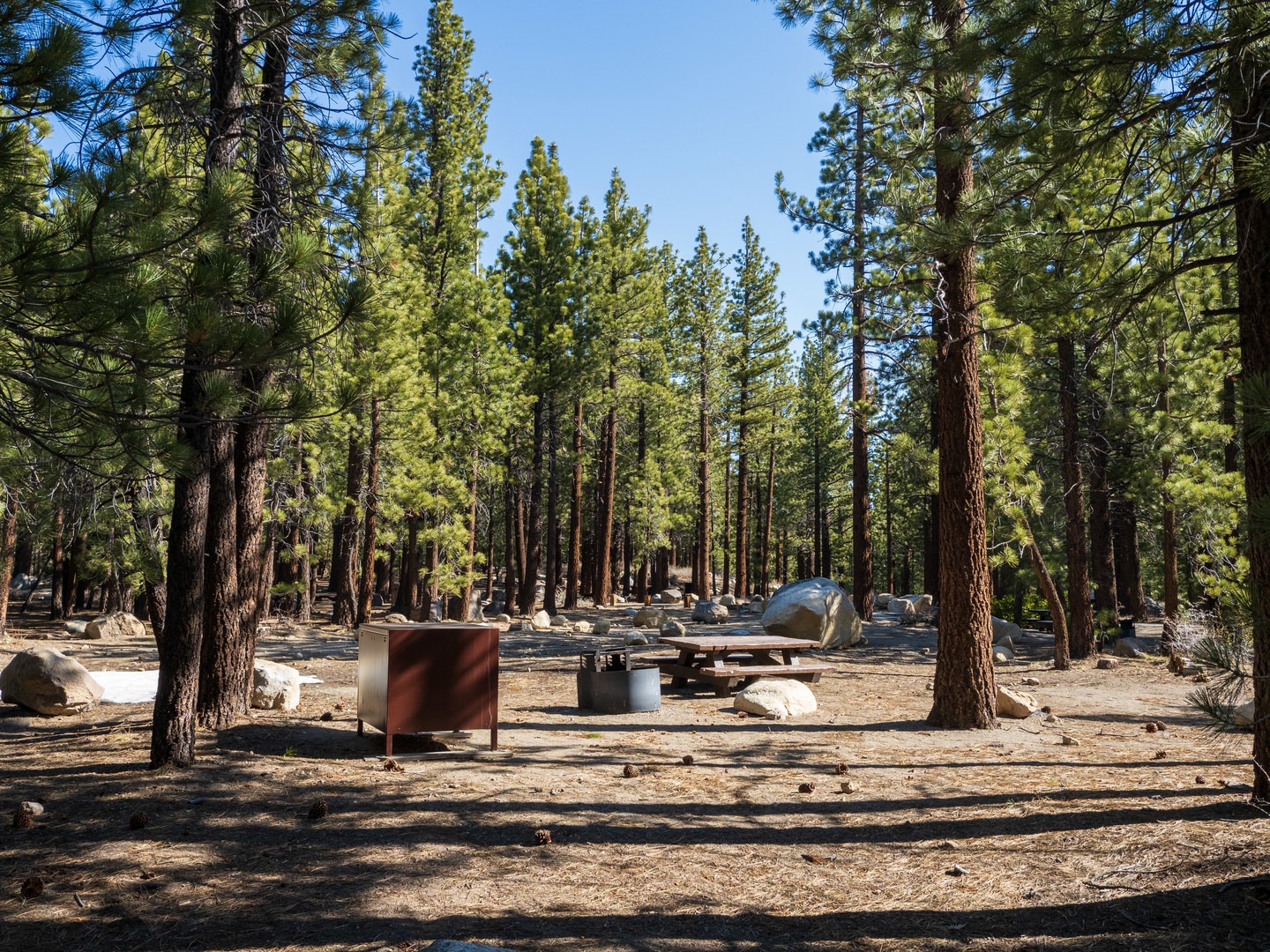A typical campsite at New Shady Rest Campground.