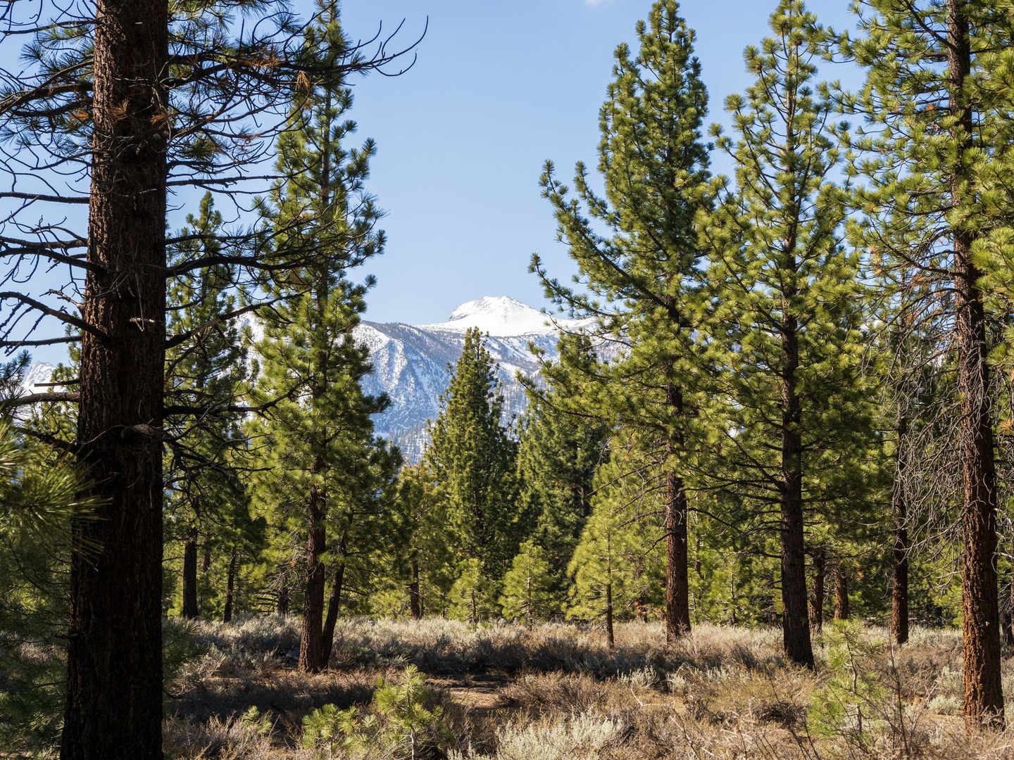 Mountain views from camp.