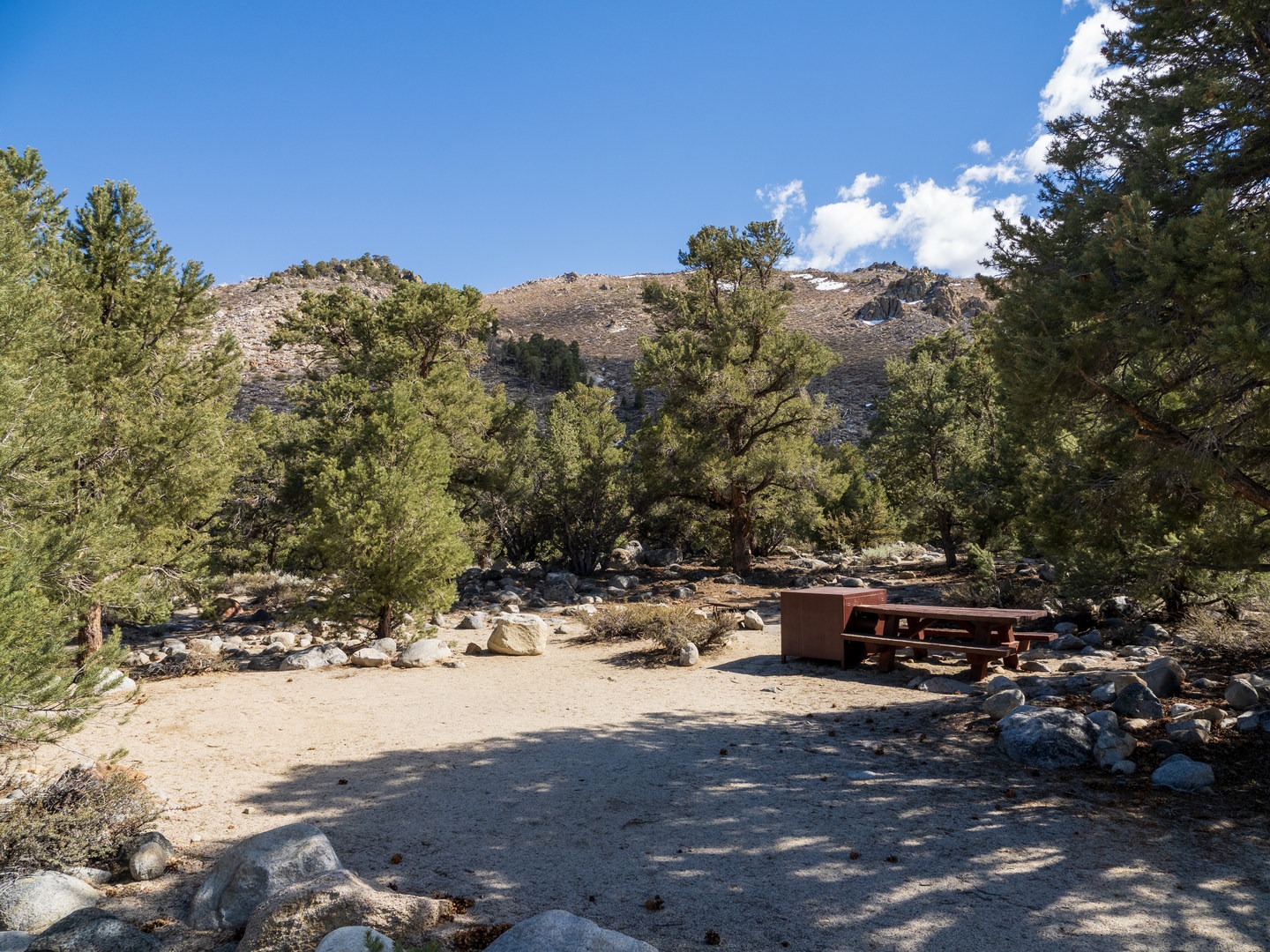 A typical site at French Camp Campground.