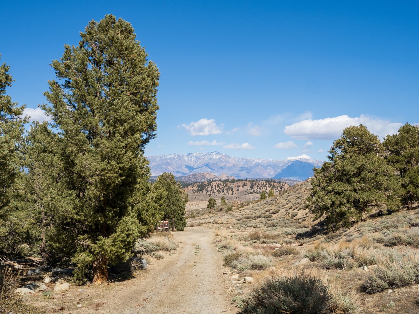 White Mountain views from Holiday Campground.