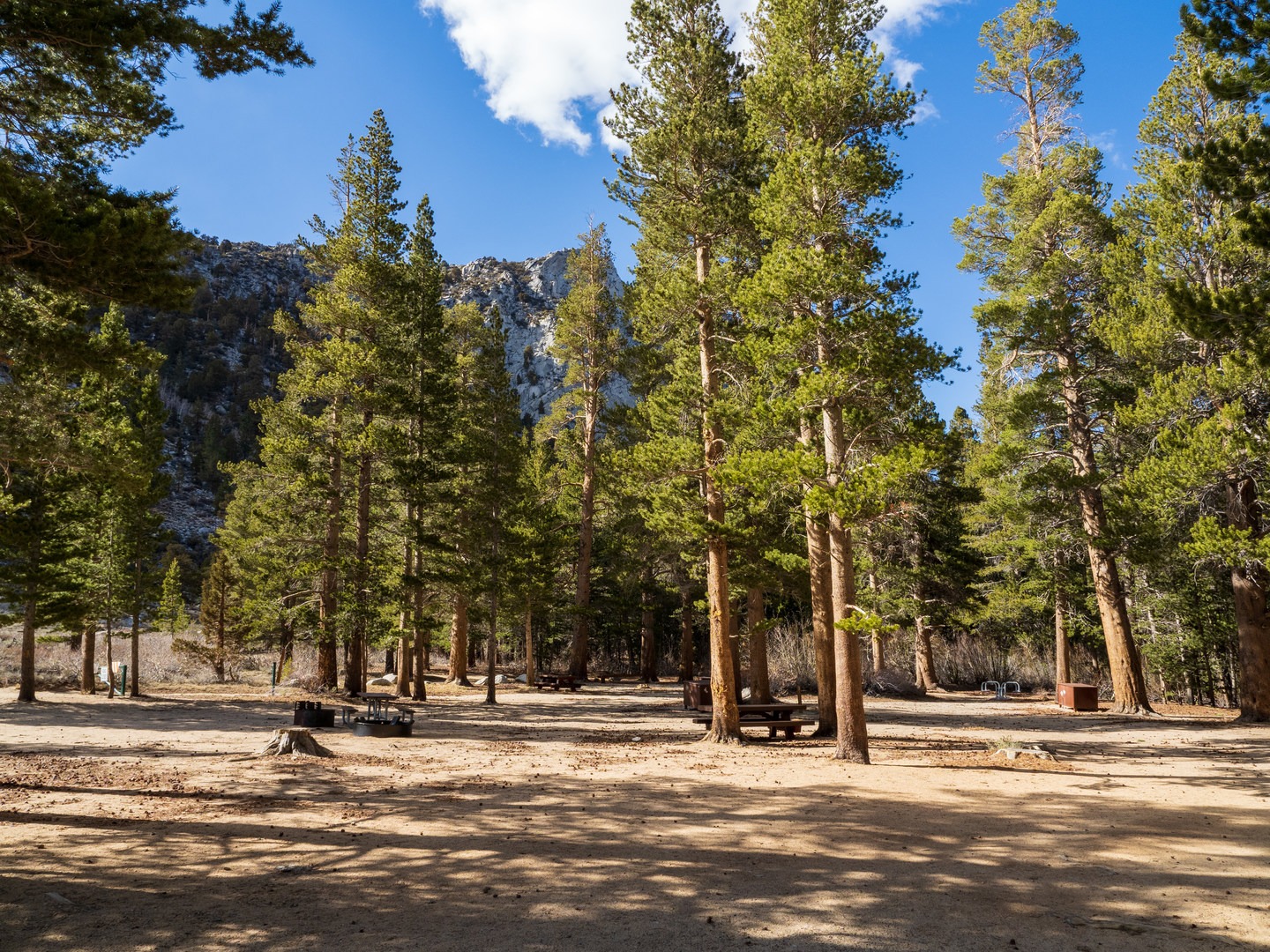 Palisade Group Camp.