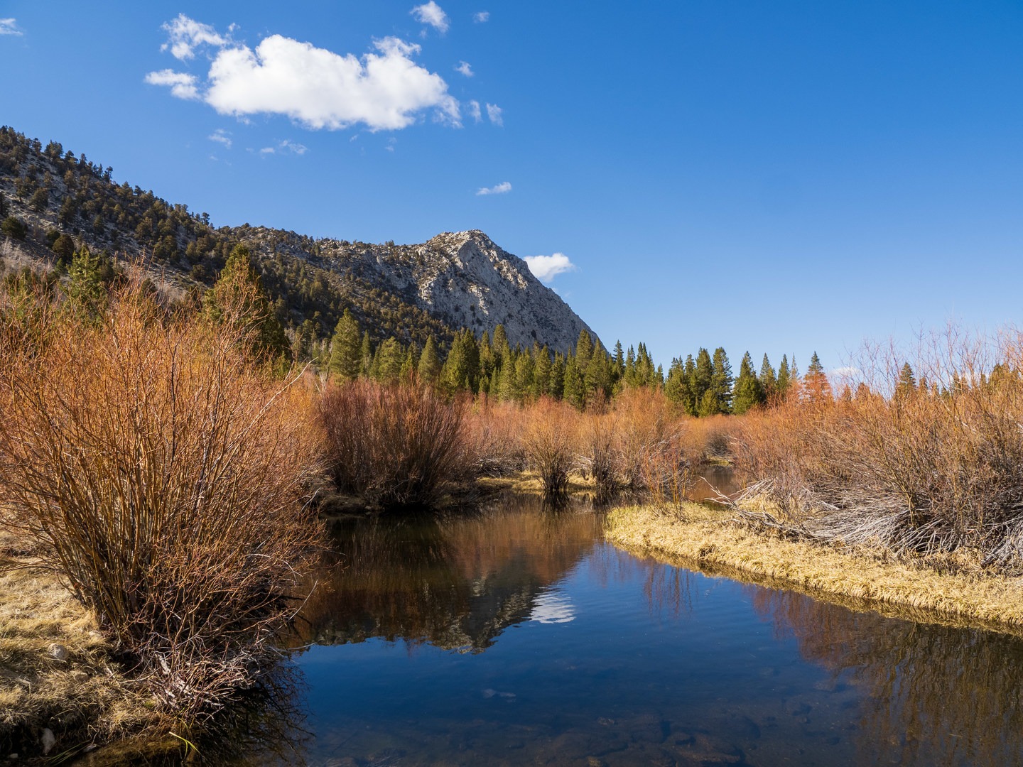 Beautiful Rock Creek flows beside the campground.