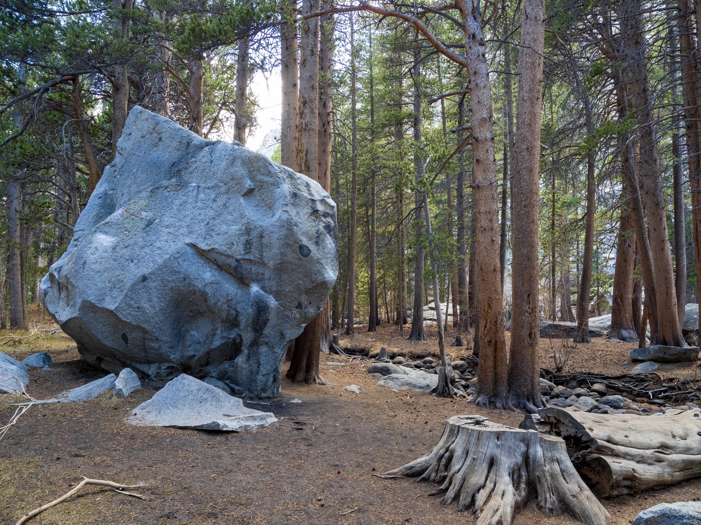 Large boulders lie near Rock Creek.