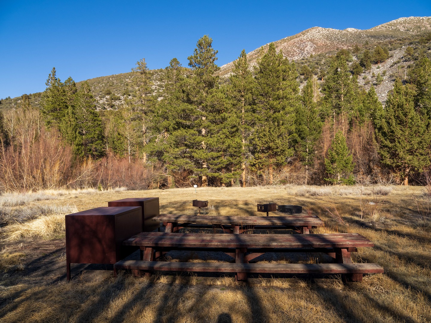 Main picnic table area at Aspen Group Campground.