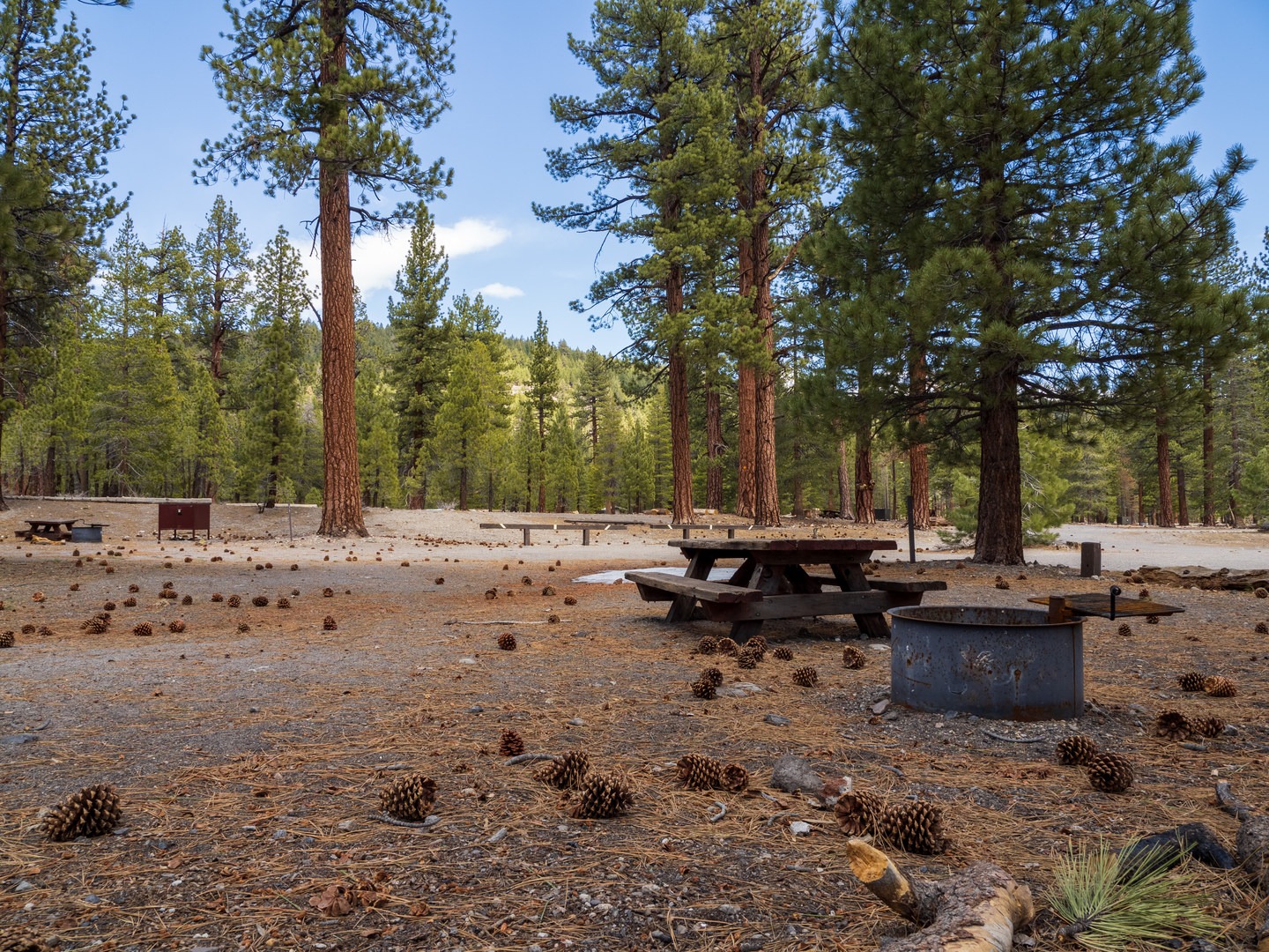 A typical campsite at Glass Creek Campground.