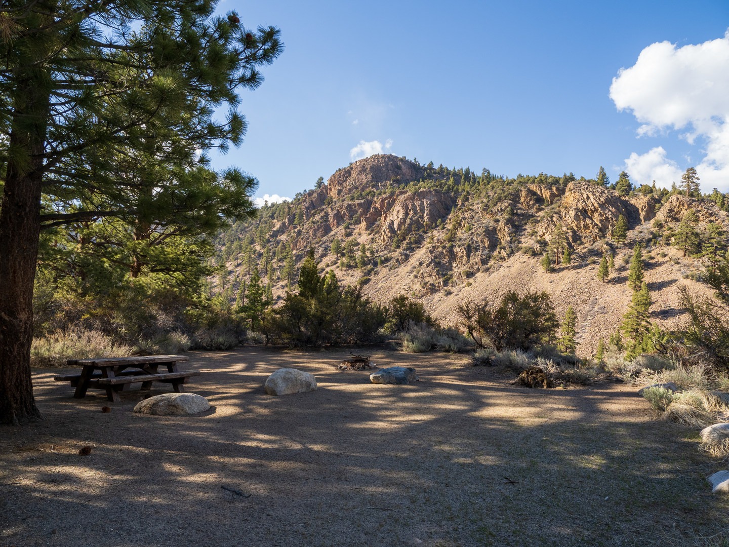 A typical campsite at Sonora Bridge Campground.