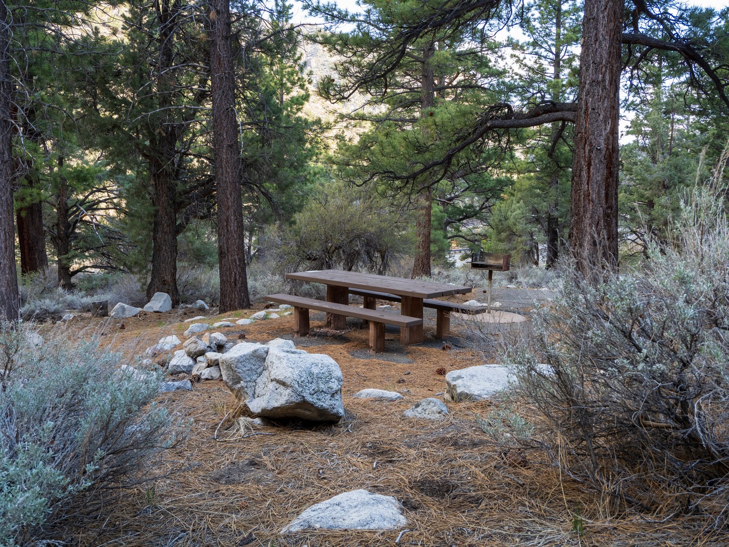 Campsites have a picnic table, fire ring and BBQ grill.