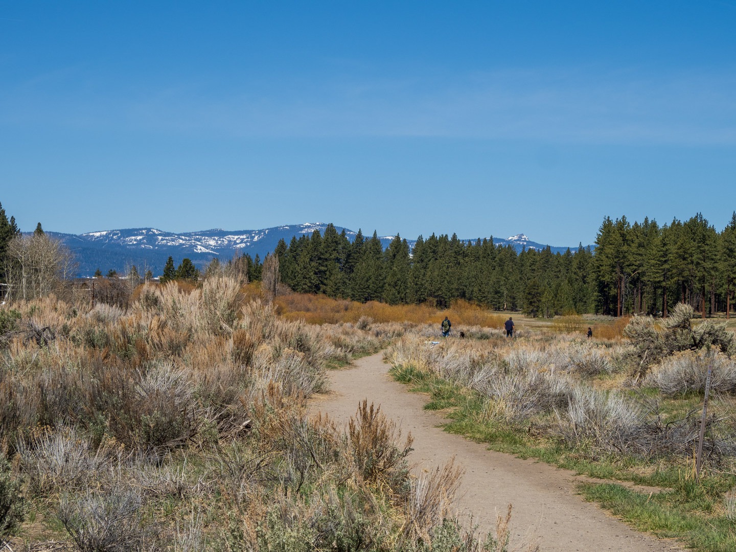 Hiking along the Lam Watah Nature Trail.