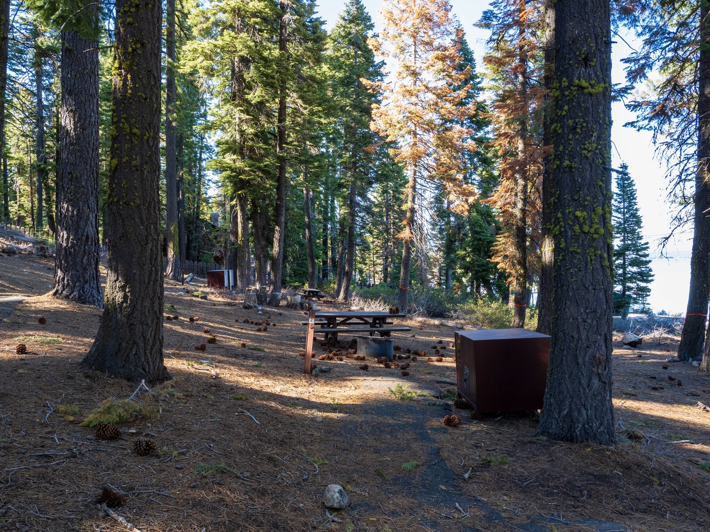 A typical campsite.