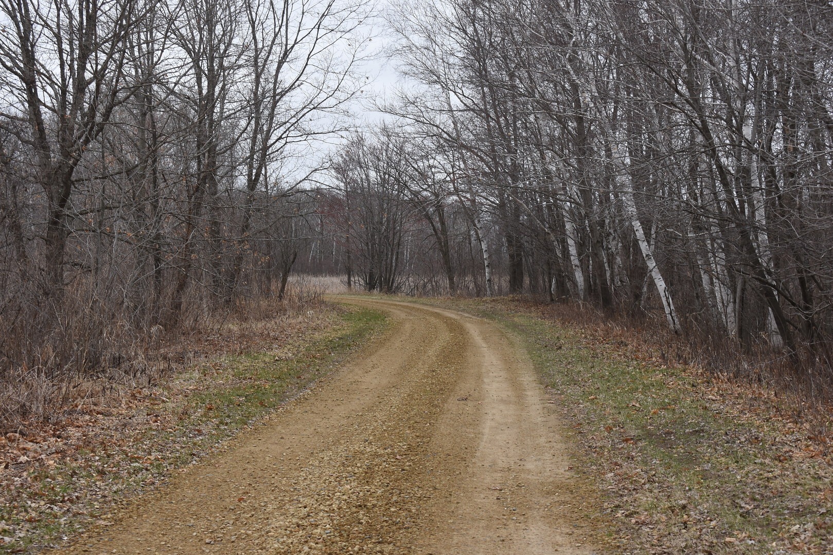 South Road on Carlos Avery Pool 15 Loop.