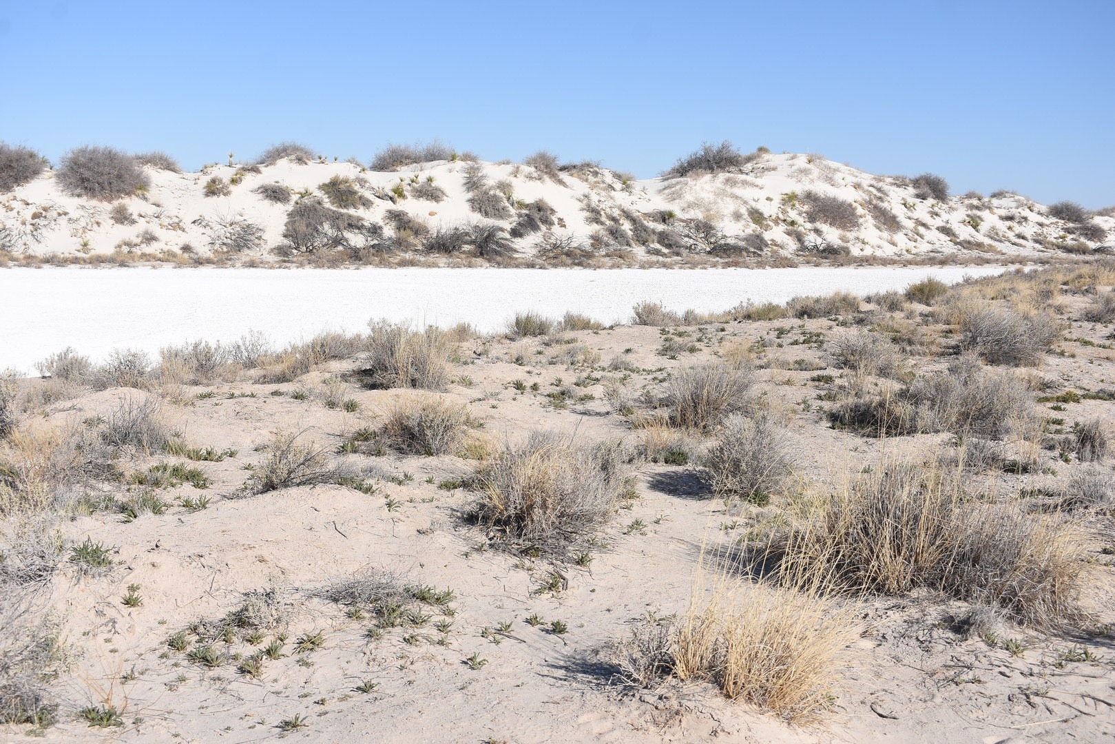 View from the Playa Trail.