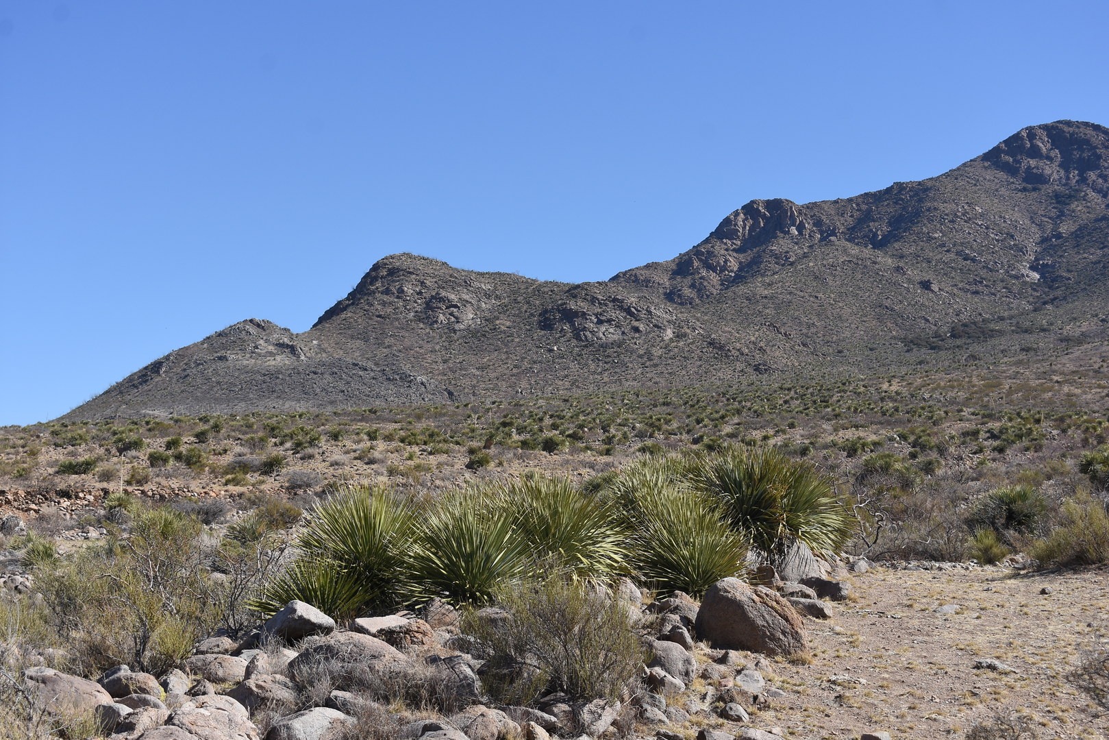 View from Baylor Pass National Recreation Trail.