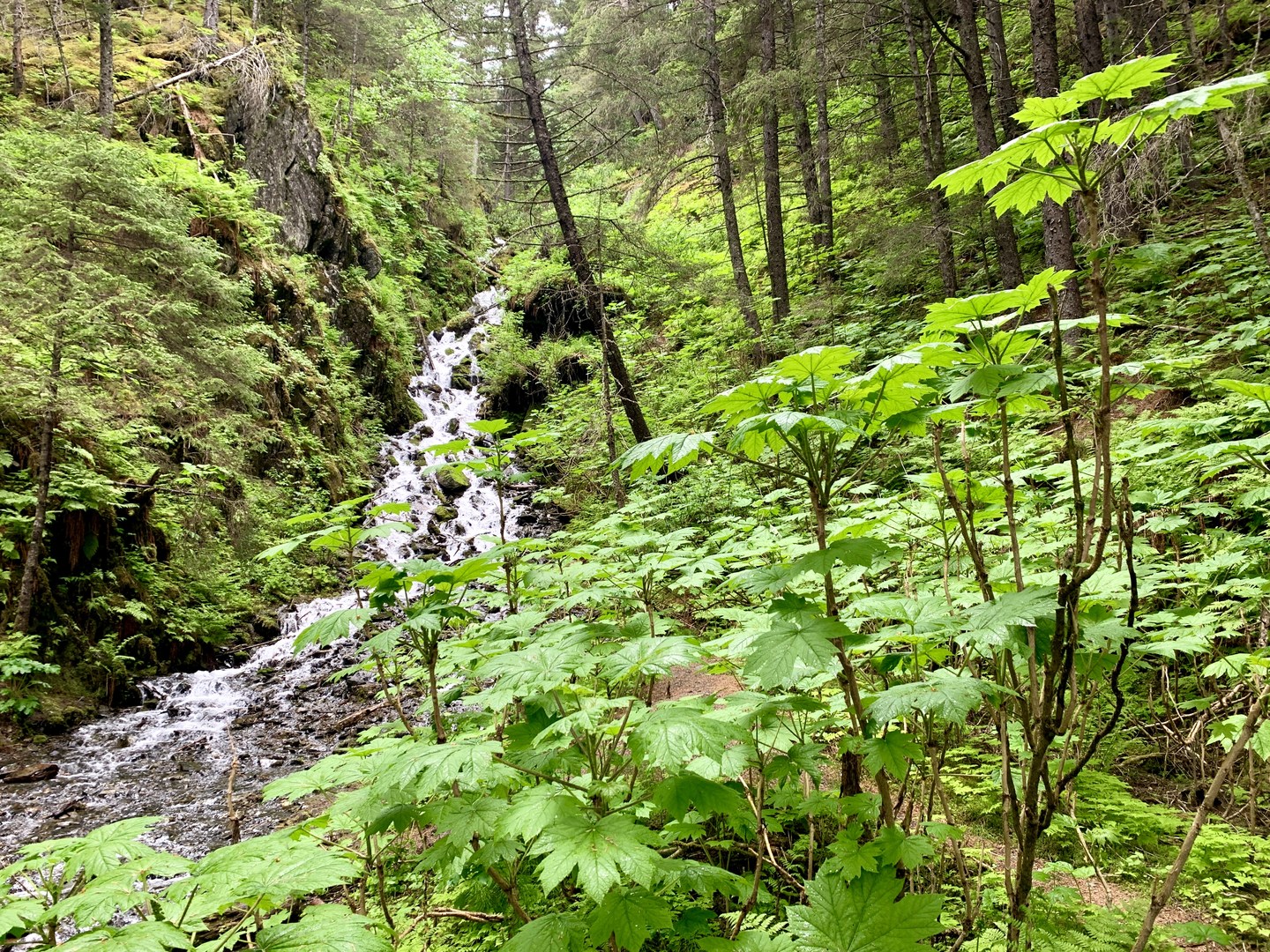 The waterfall near First Lake.