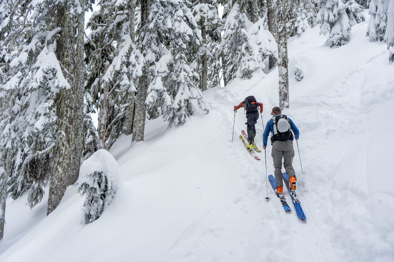 Skinning up through Phantom Trees.