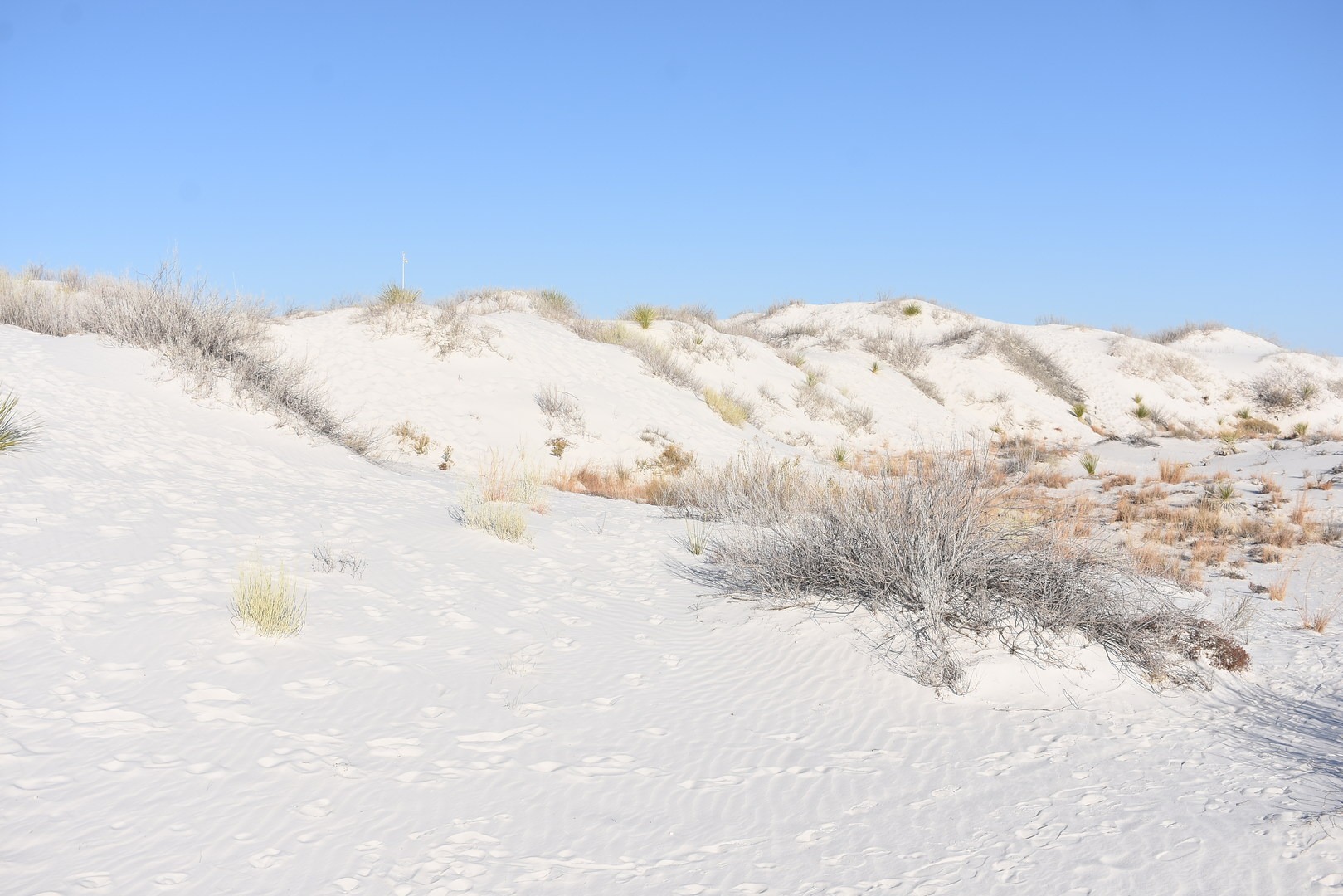 View from Interdune Boardwalk.