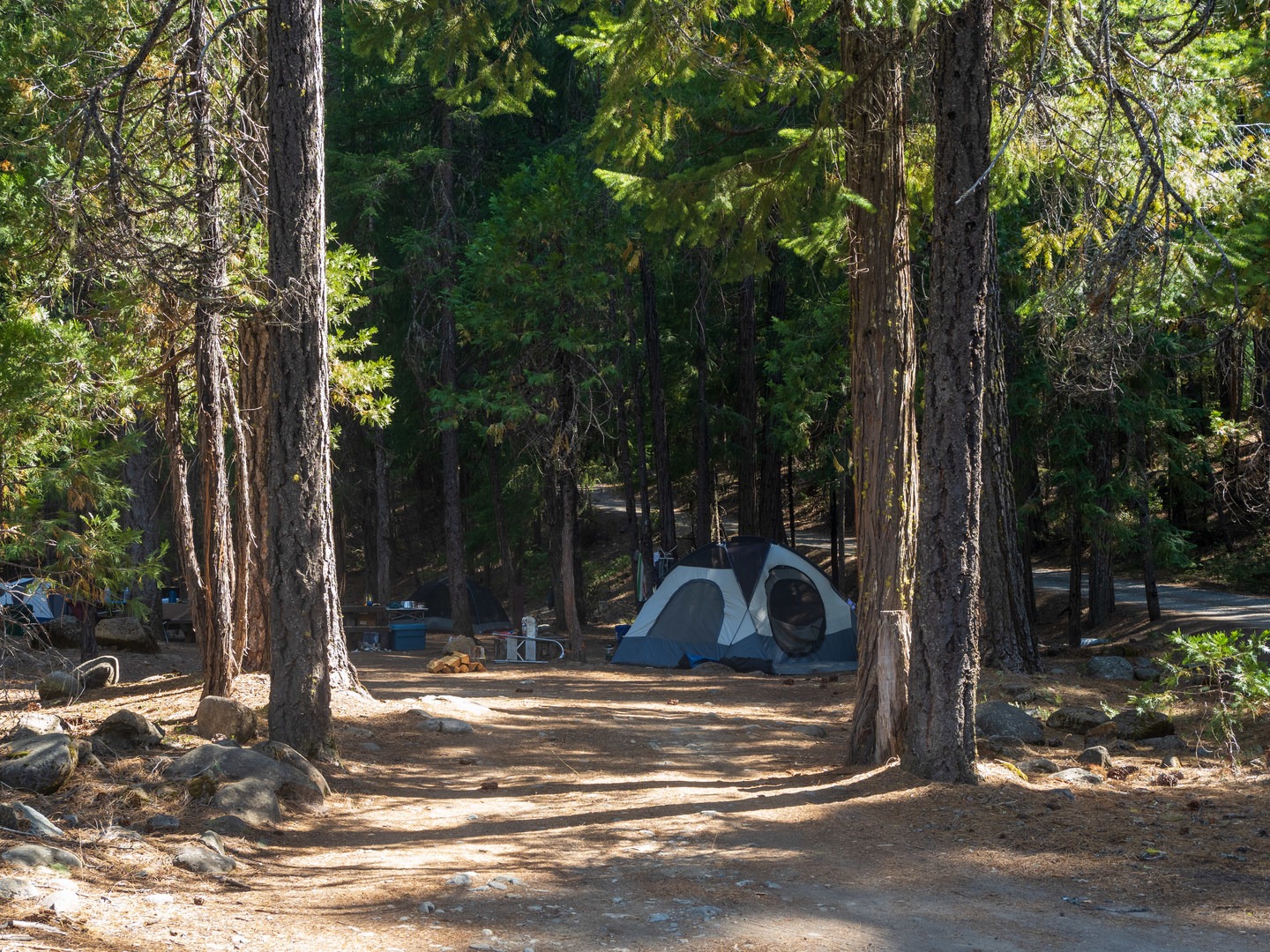 A typical campsite at Eagle Creek Campground.