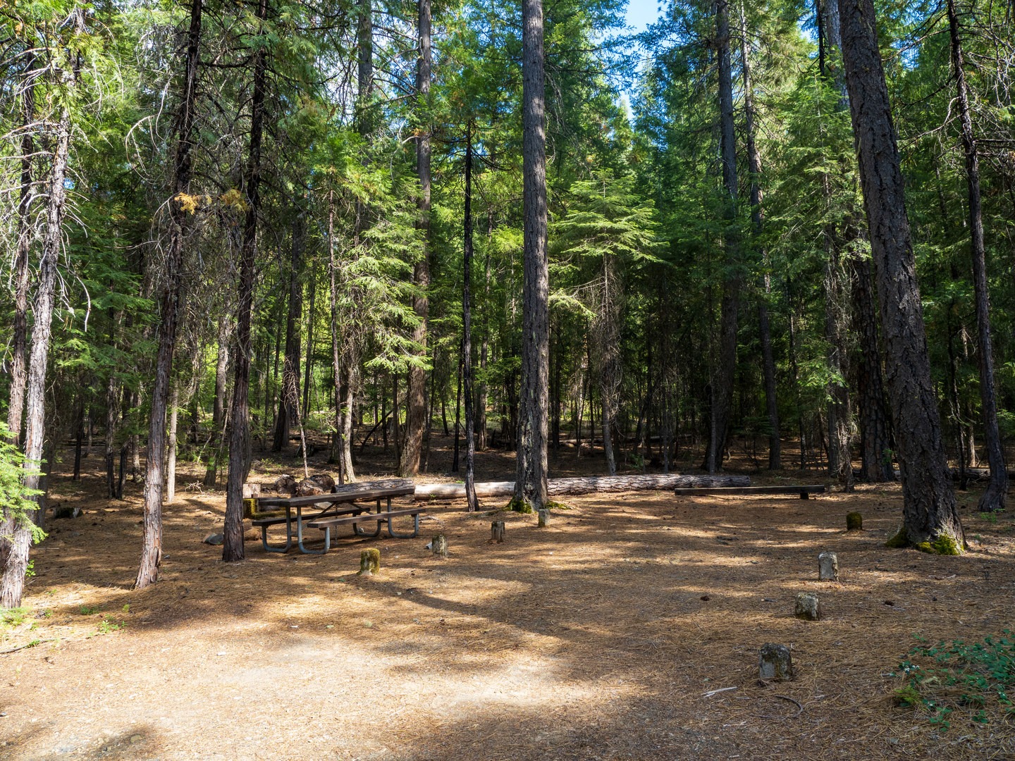 A typical campsite at Preacher Meadow Campground.