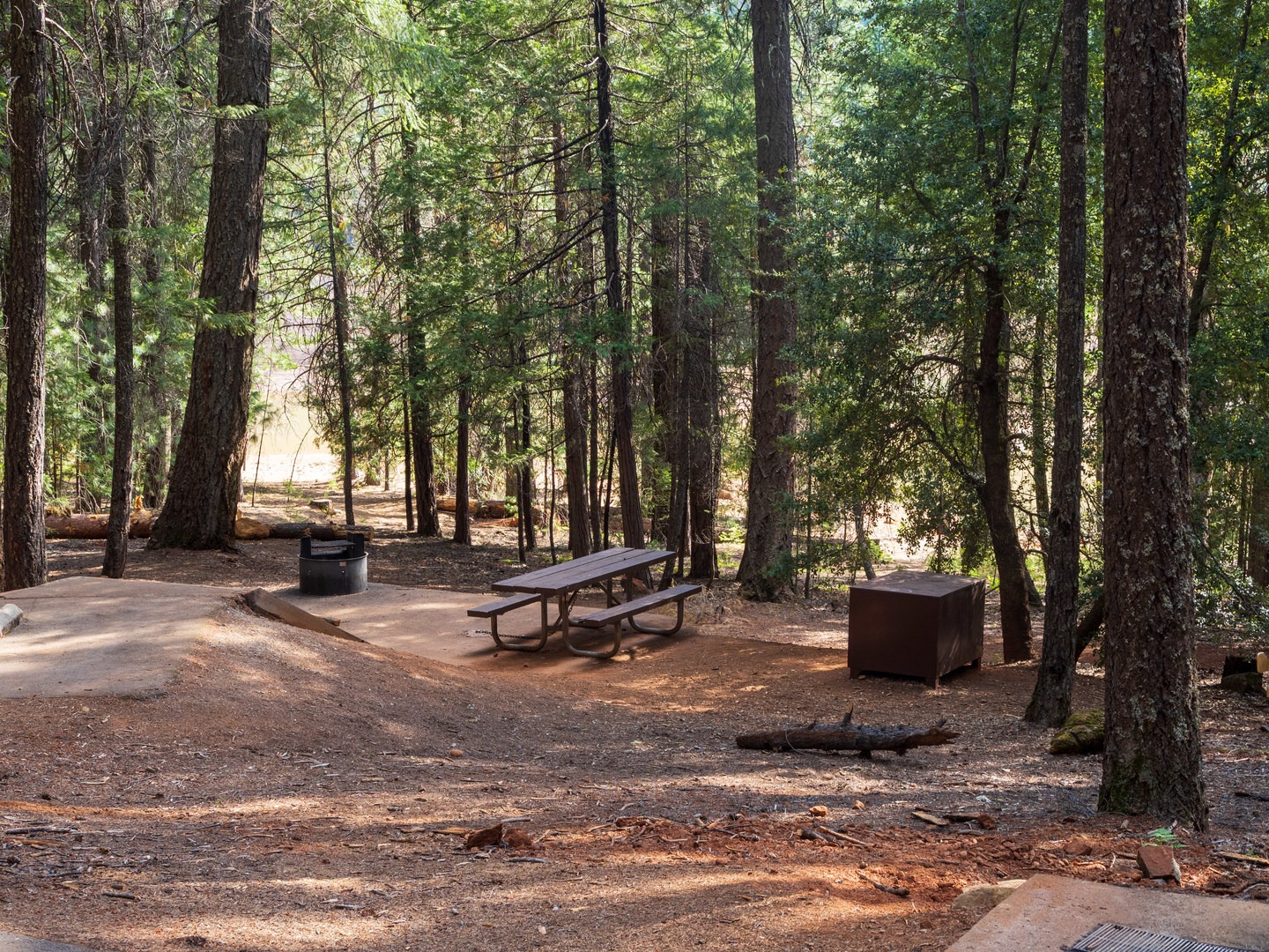 A typical campsite at Alpine View.