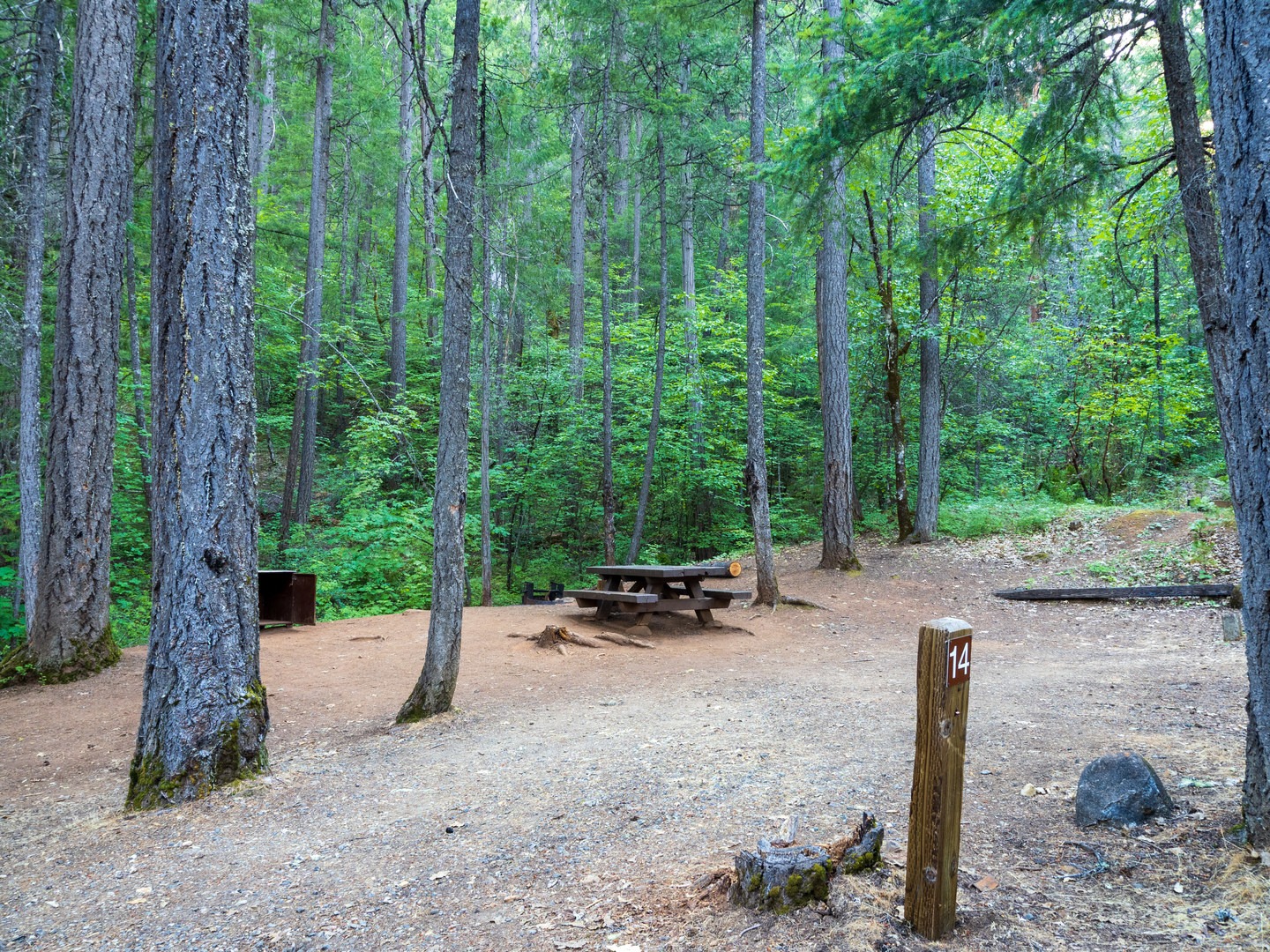 A typical campsite at Clark Springs Campground.