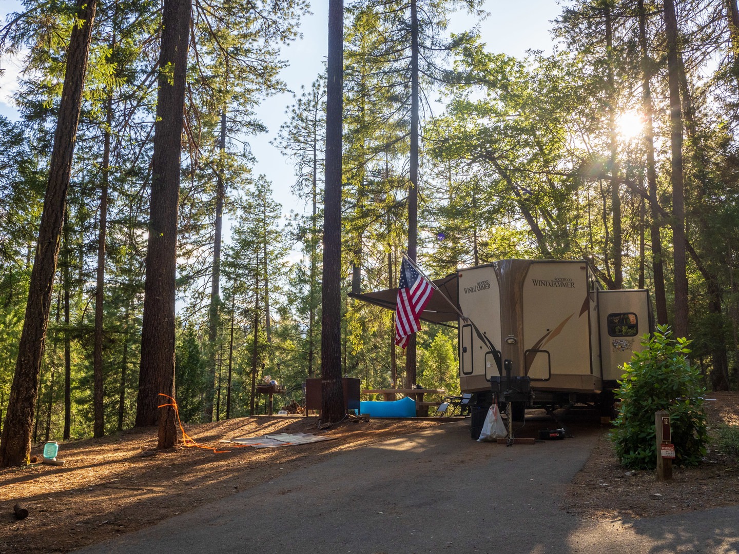 A typical campsite at Bushytail Campground.