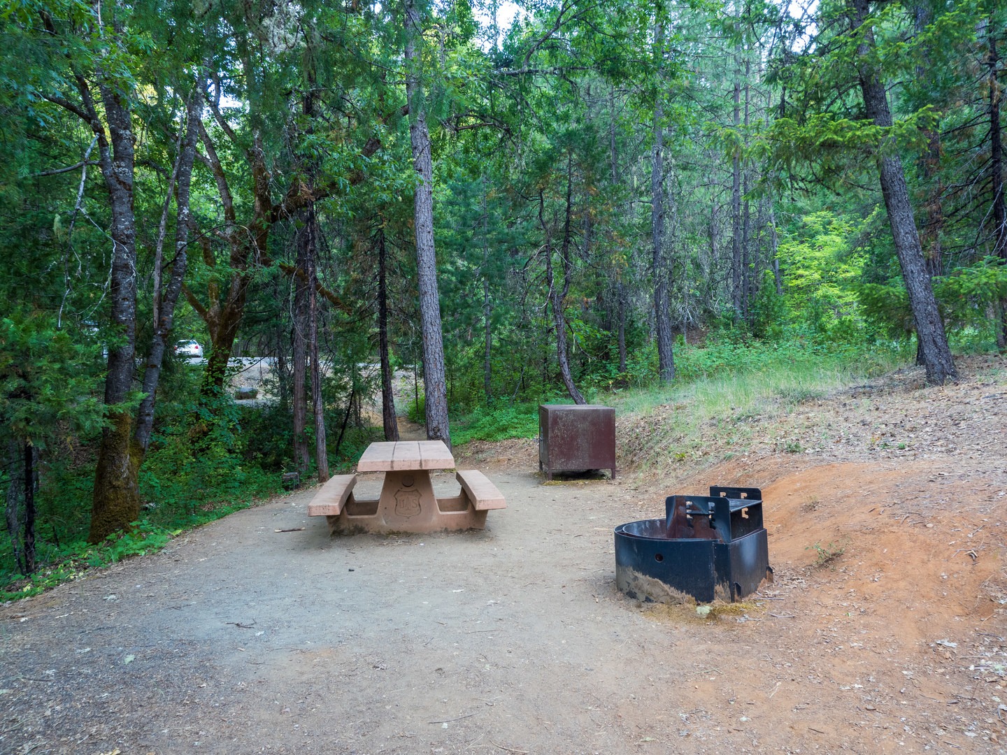 A typical campsite at Minersville Campground.