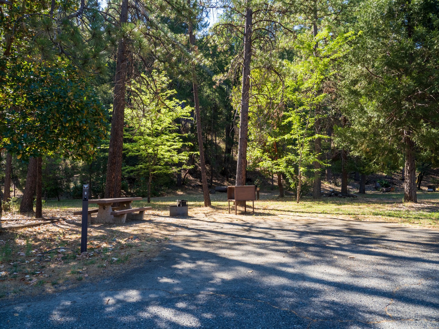 All campsites have a picnic table, fire ring and bear box.