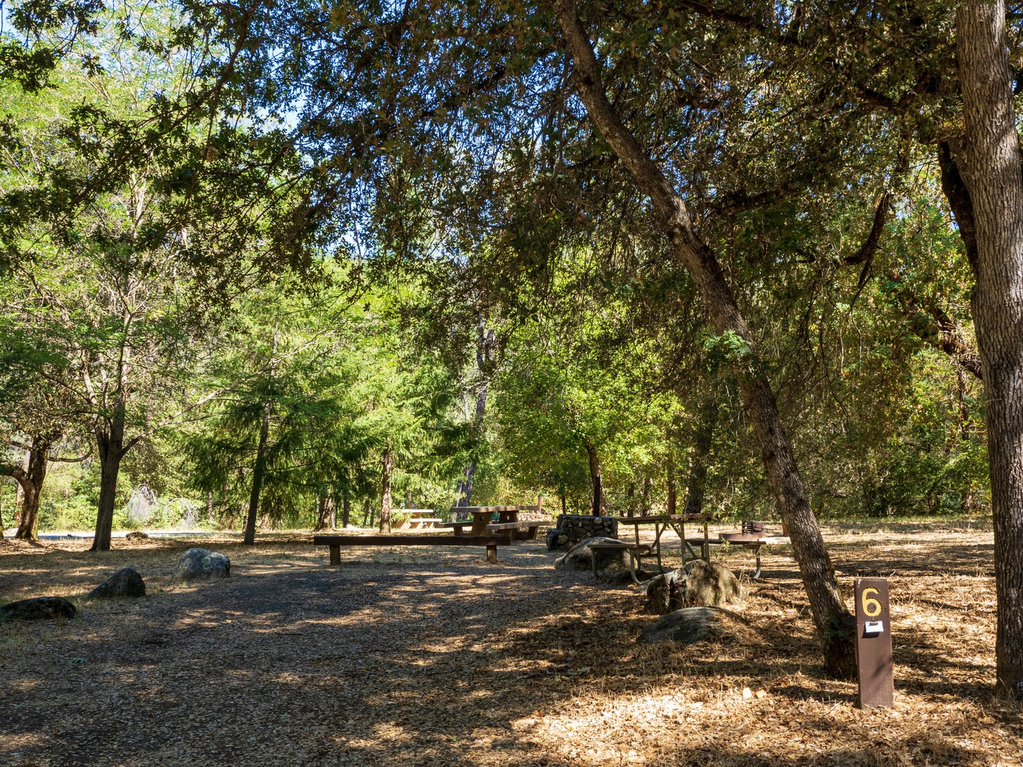 A typical campsite at Big Flat Campground.