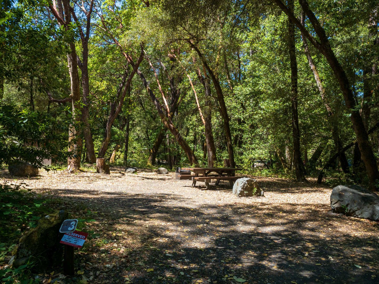 A typical campsite at Boise Creek Campground.