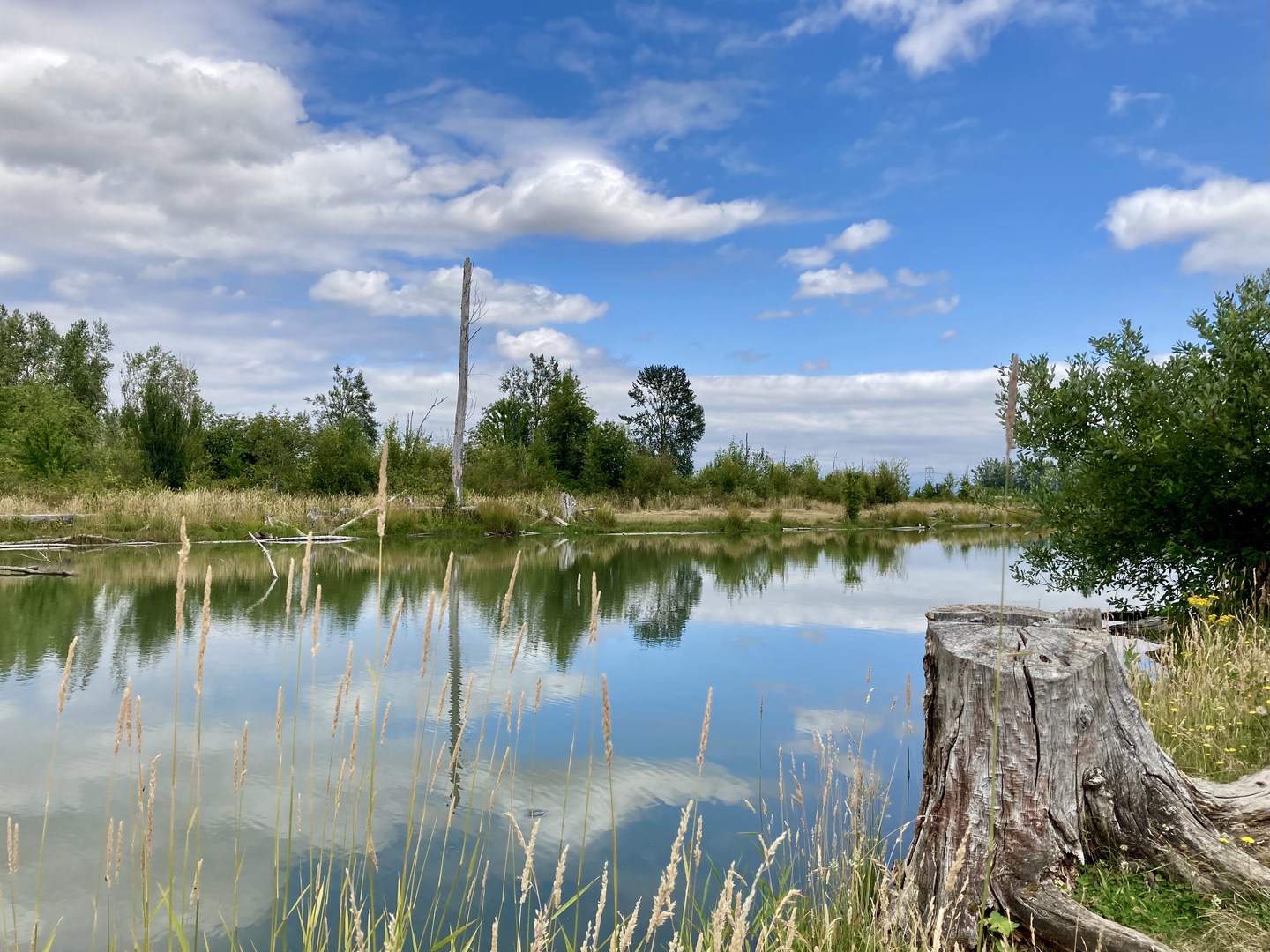 Saint Louis Ponds Outdoor Project