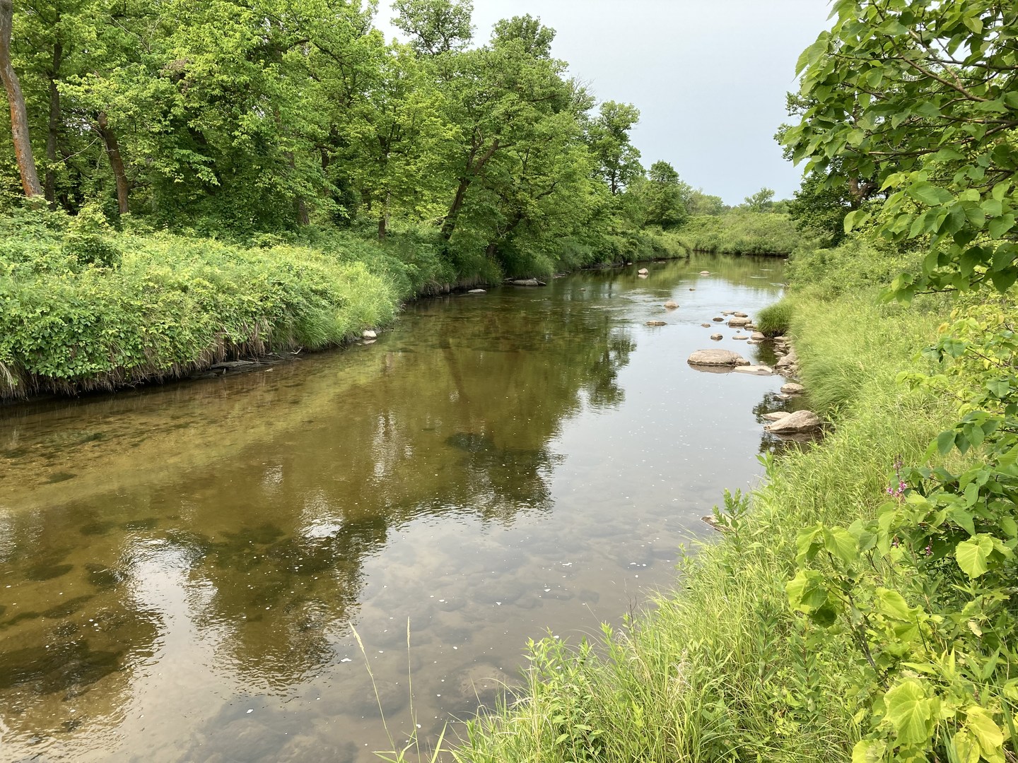 View of the Buffalo River from the River View Trail (part of the Hiking Club Trail) at Buffalo River State Park.