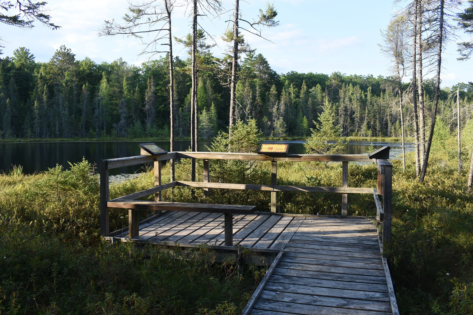 Interpretative Bog Boardwalk.