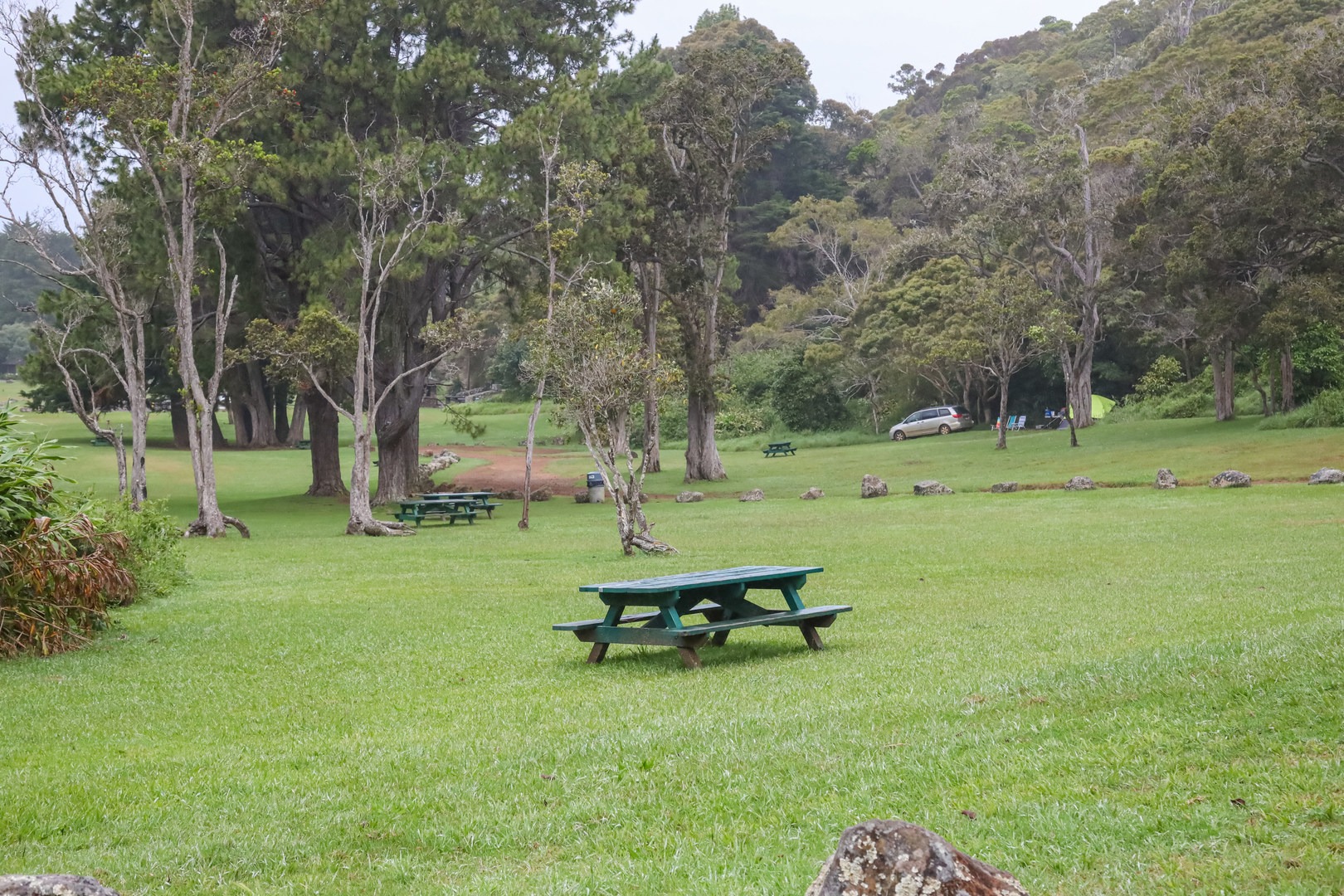 Koke'e State Park Campground Outdoor Project