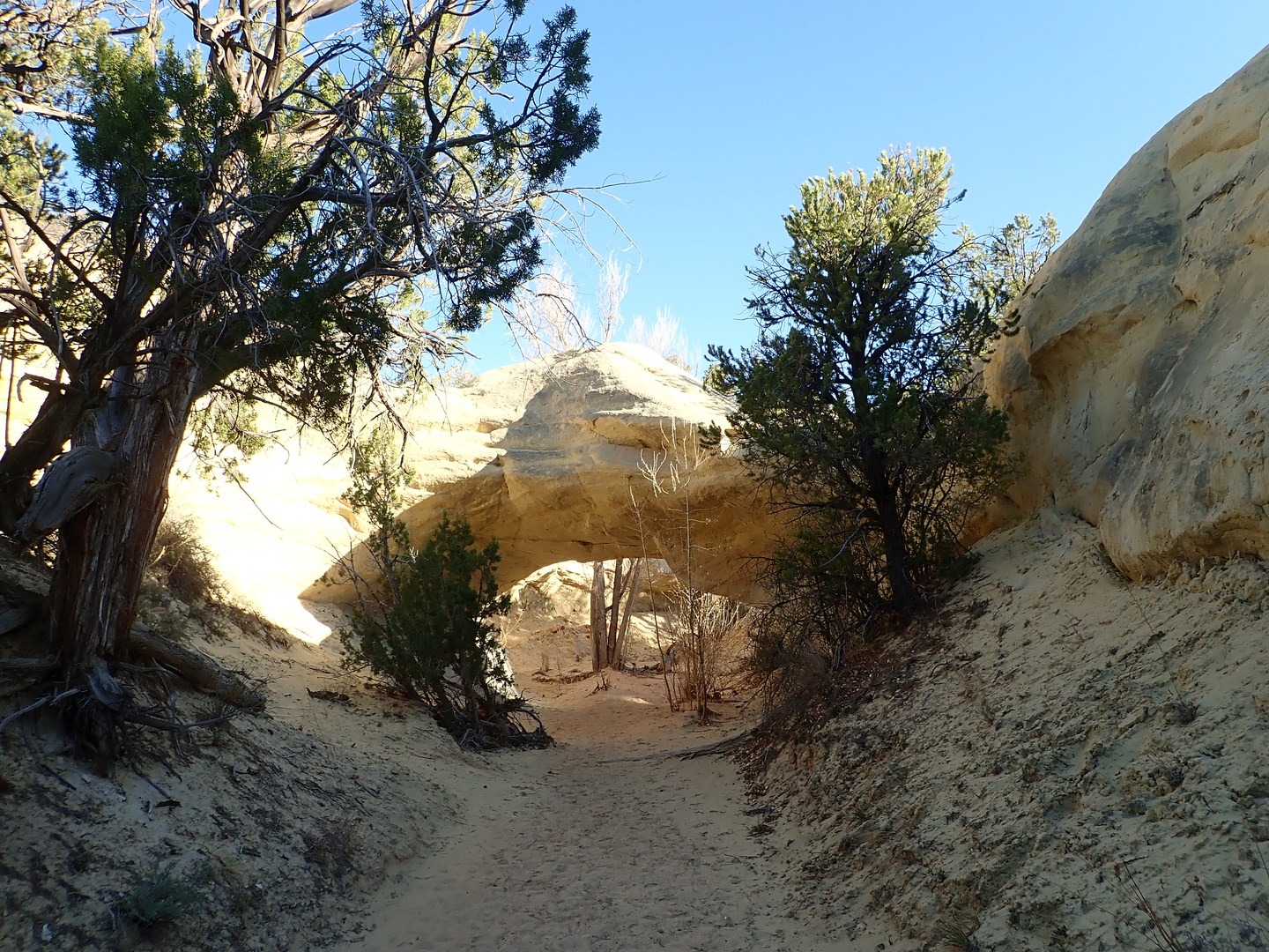 Covered Wagon Bridge.