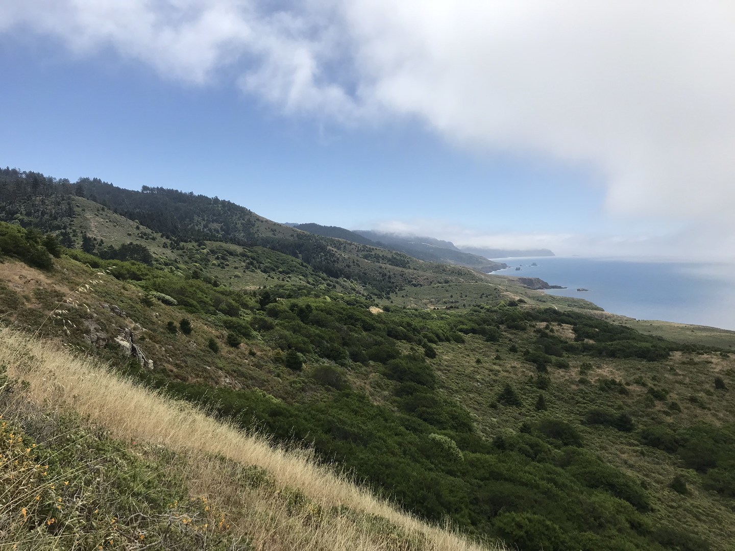Coastal views to the south from Woodward Valley Trail.