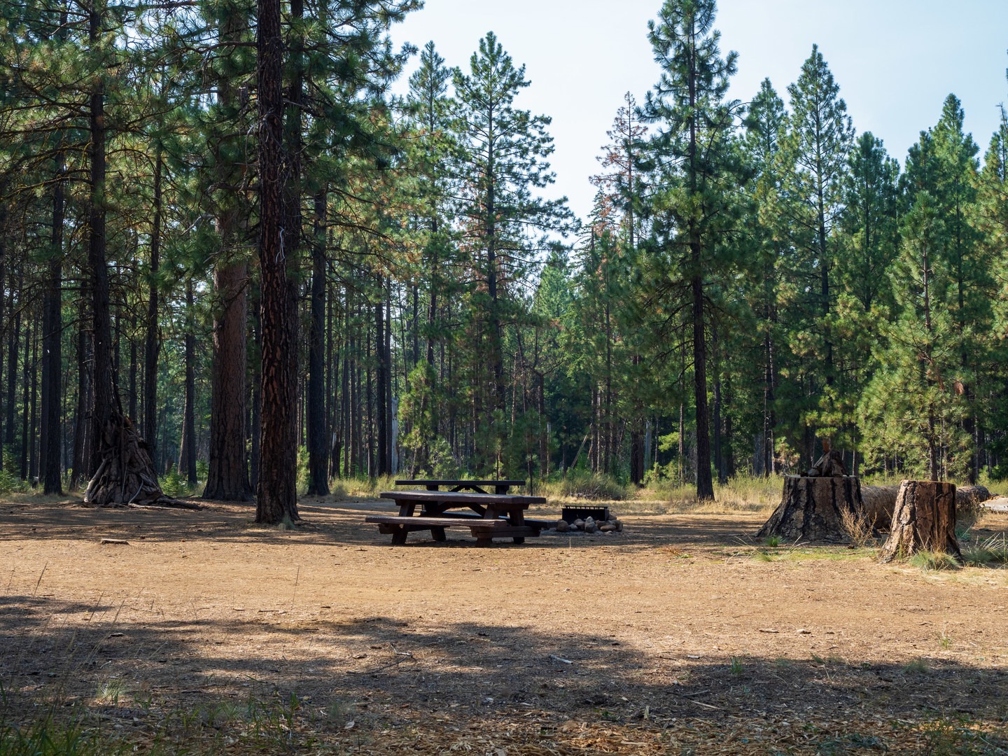 A typical campsite at Jack Creek Campground.