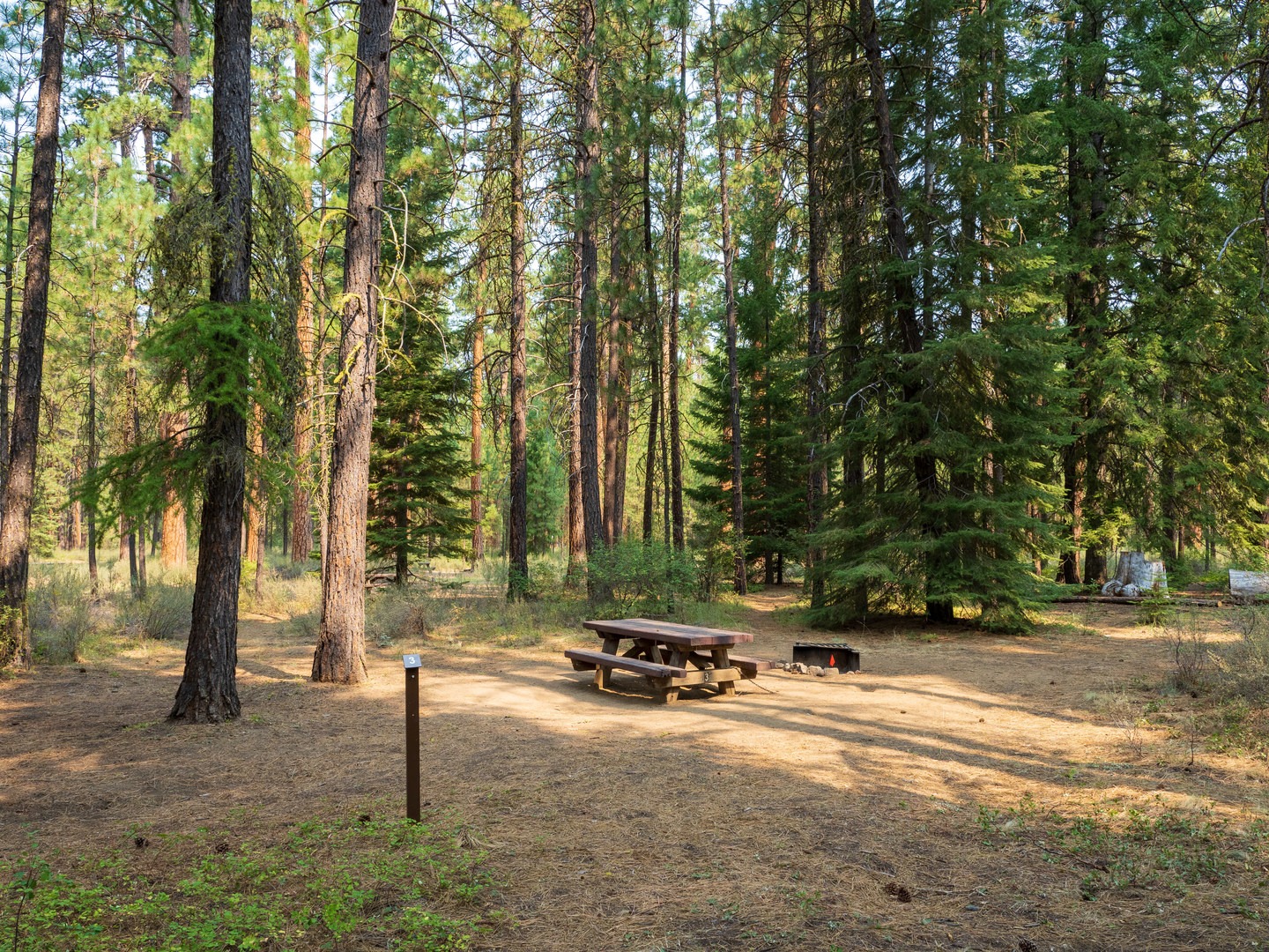 A typical walk in tent site at Riverside Campground.