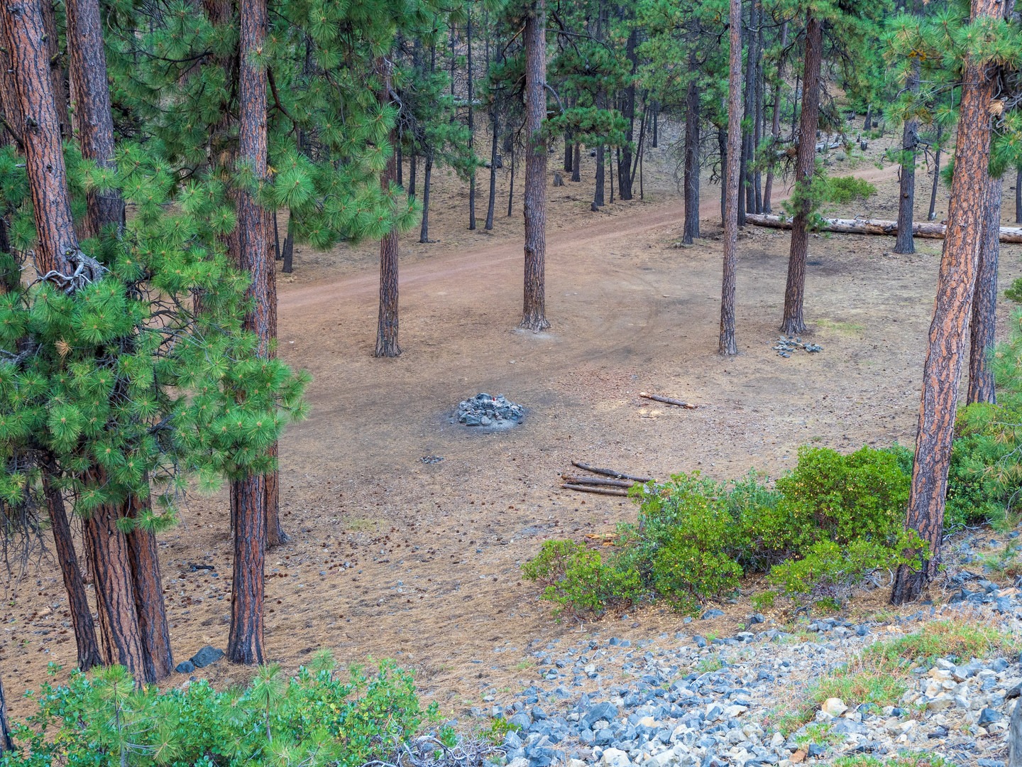 View of the dispersed camping area.