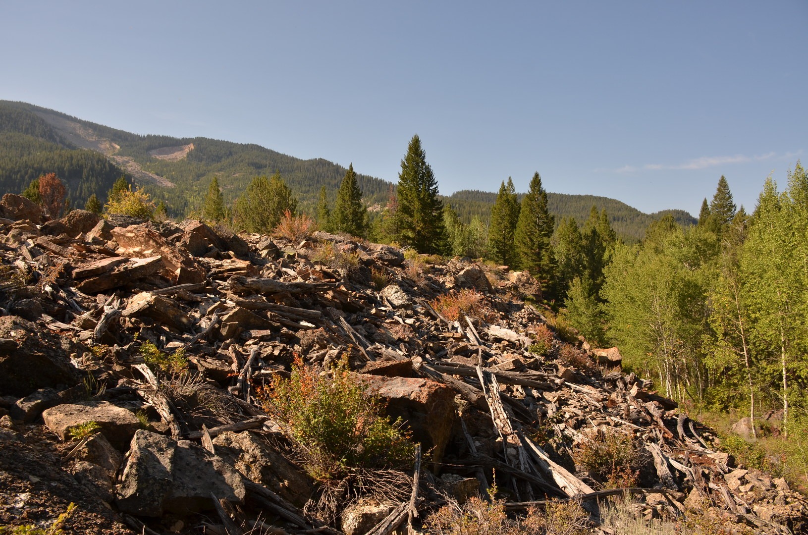 Landslide debris viewed from the Gros Ventre Slide Geological Trail.