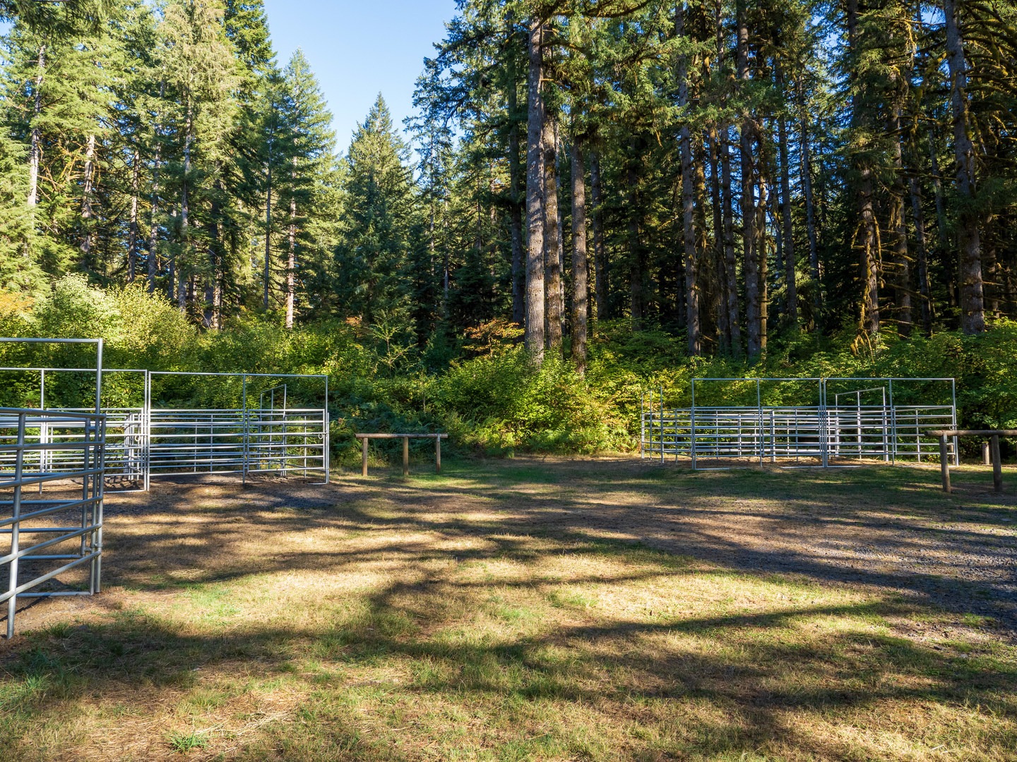 The group site at Howard Creek Horse Camp.