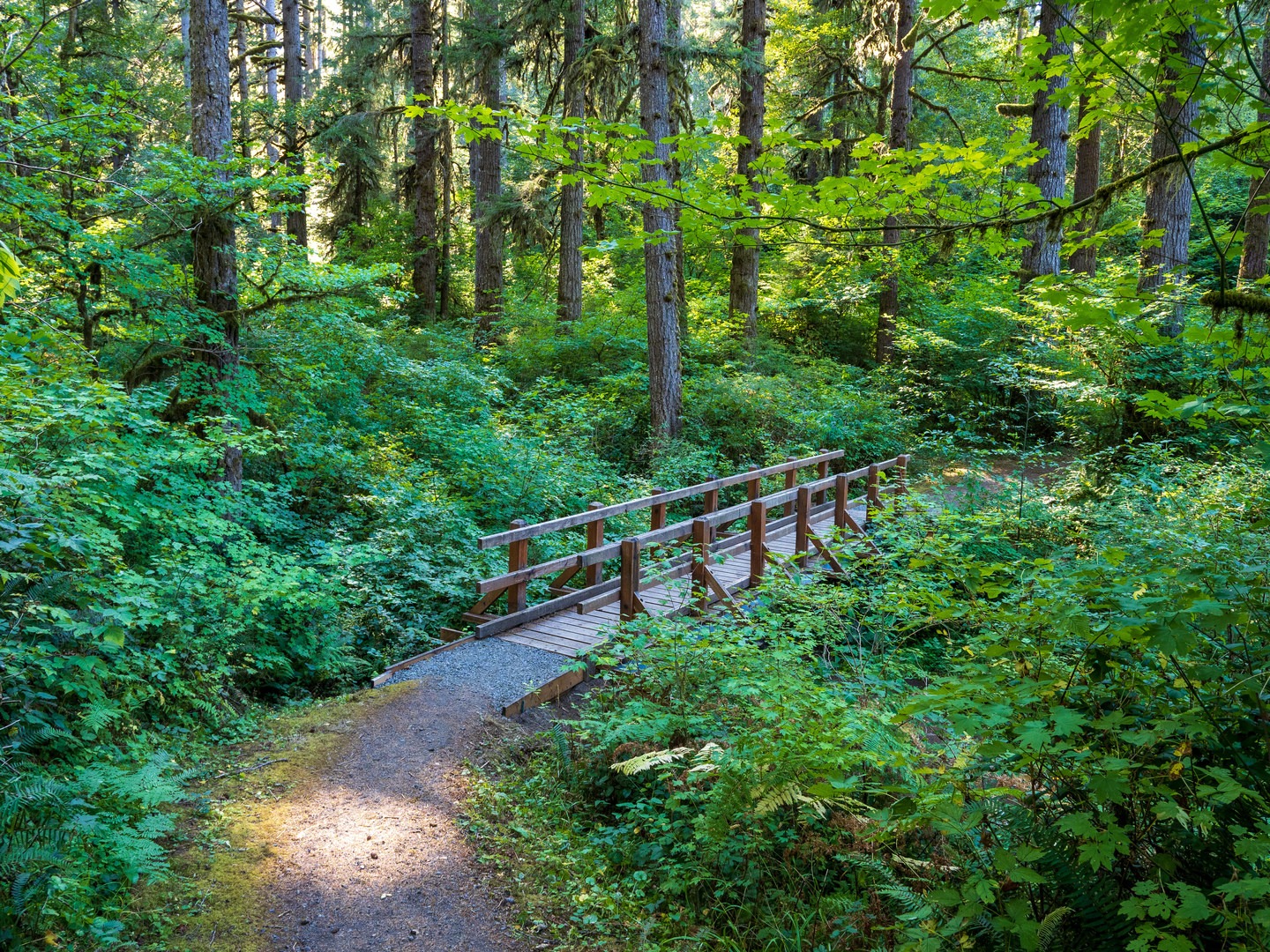 Crossing over a wooden footbridge.