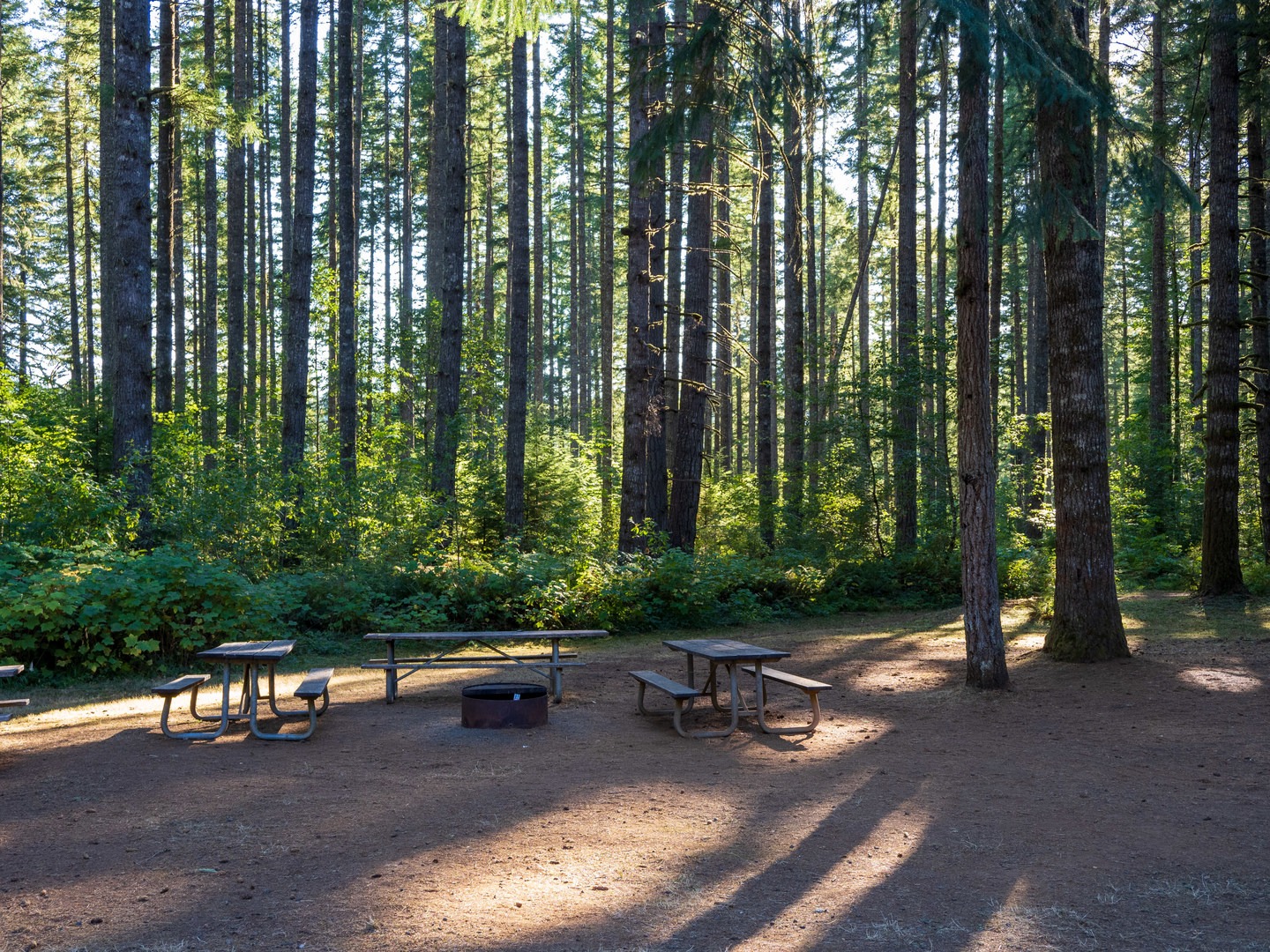 Plenty of shade is found at the group campground.