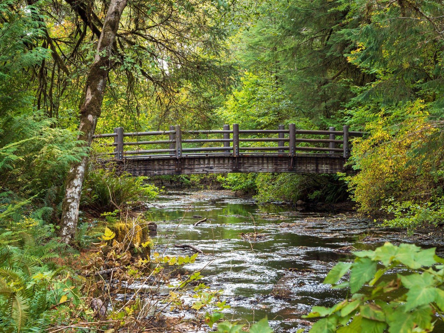 Picturesque bridge over the South Fork of Silver Creek (upstream from the falls).