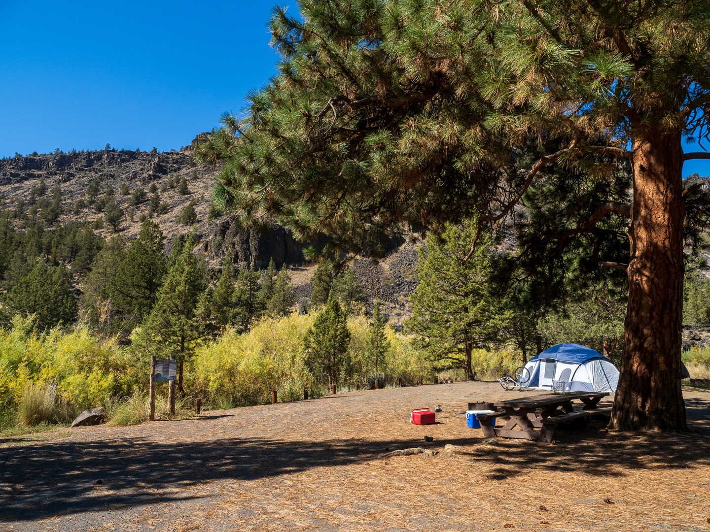 A typical campsite at Lone Pine Campground.