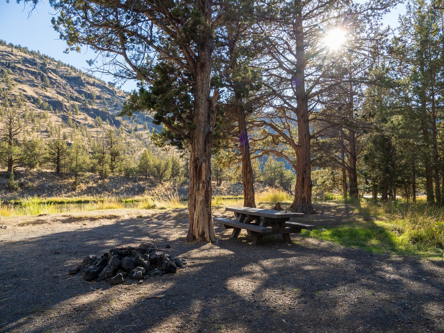 A typical campsite at Post Pile Campground.