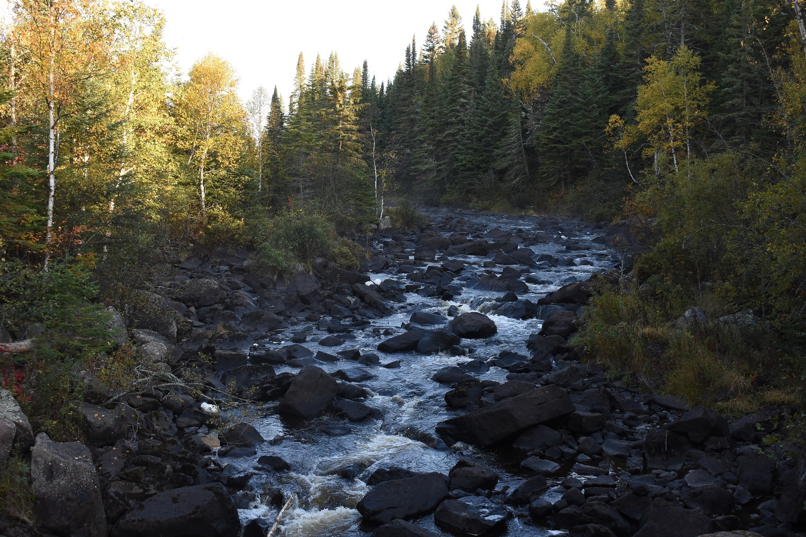 Upstream cascades of Upper Poplar River Falls.