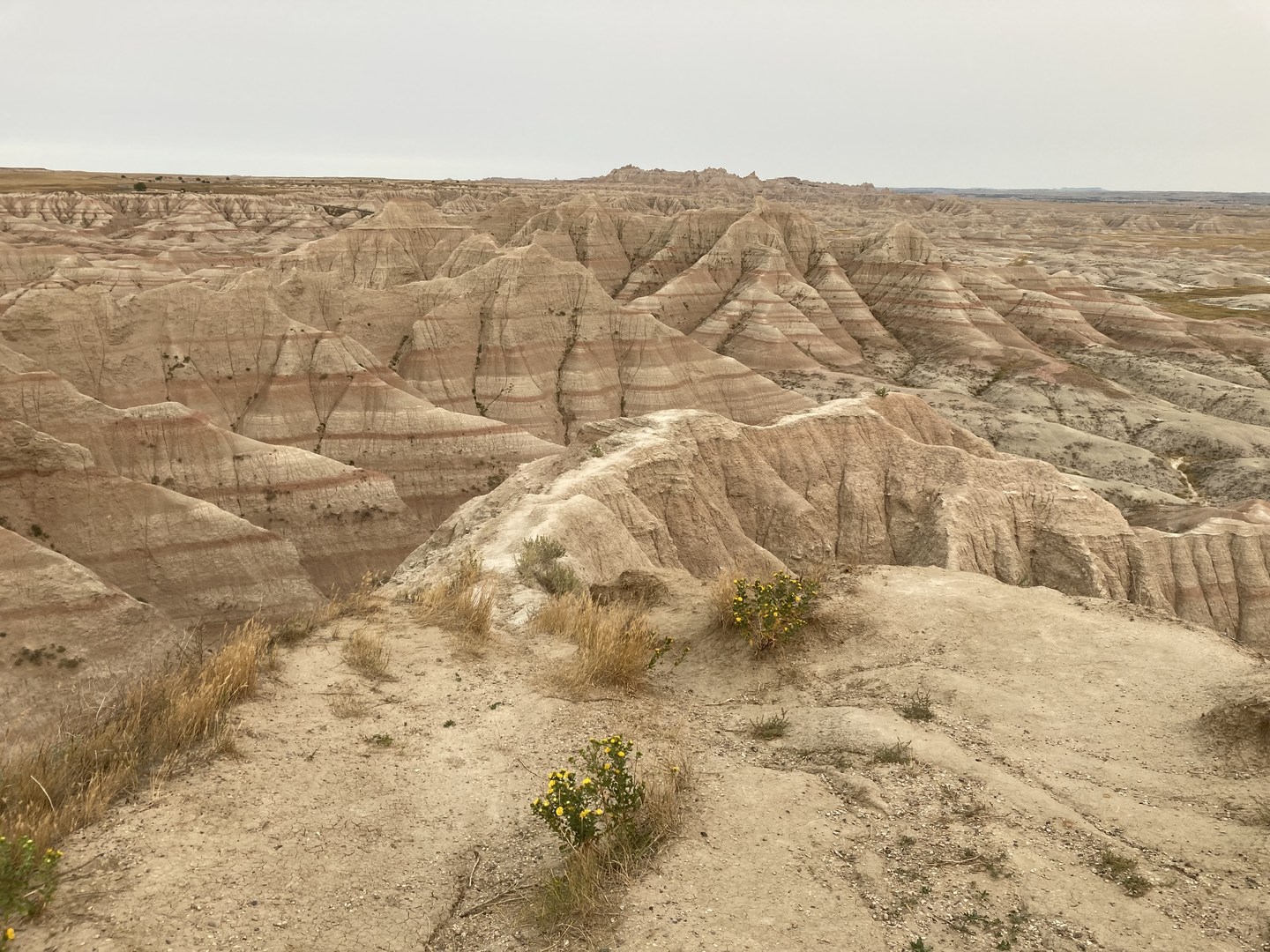 View from the White River Valley Overlook.